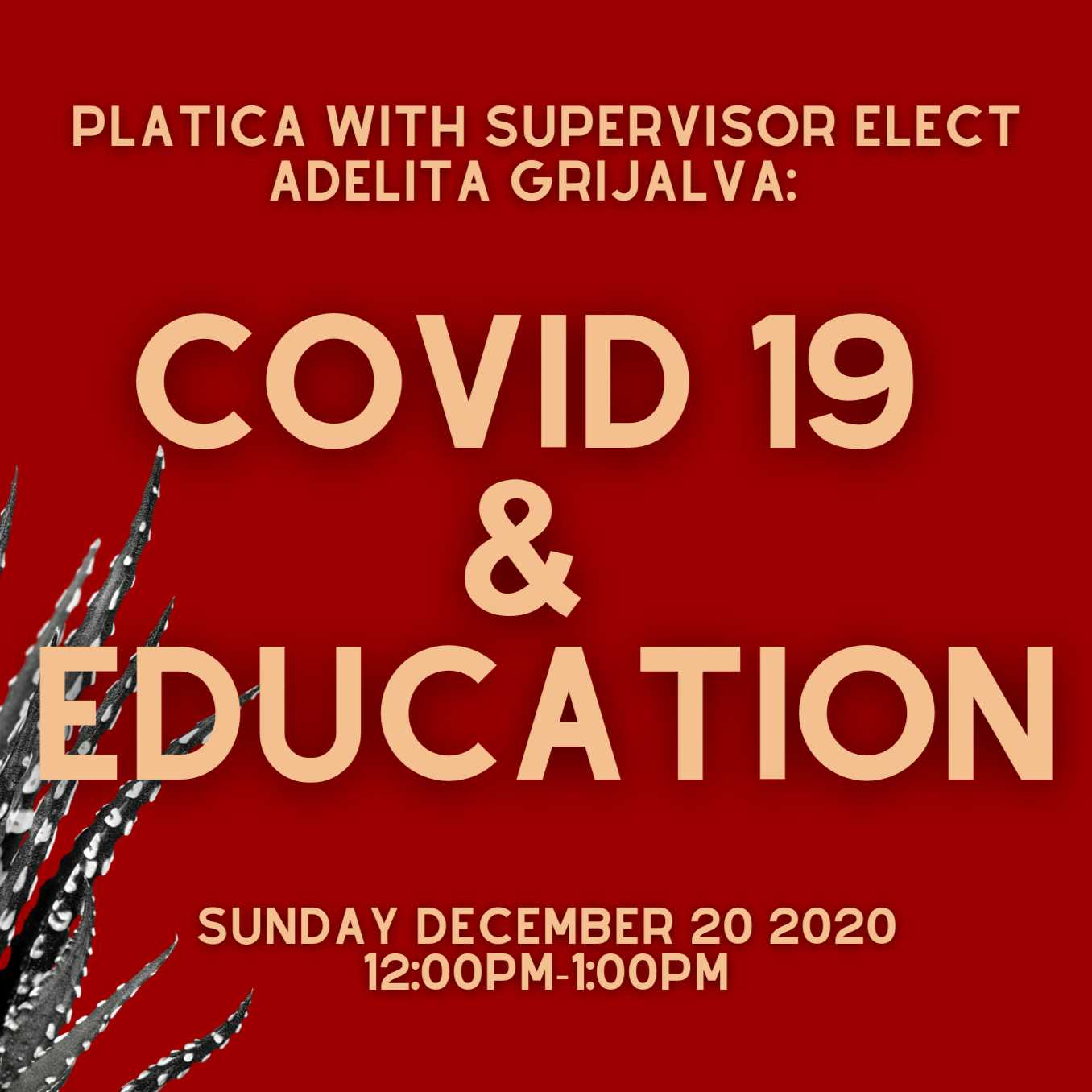 Plática with Adelita Grijalva