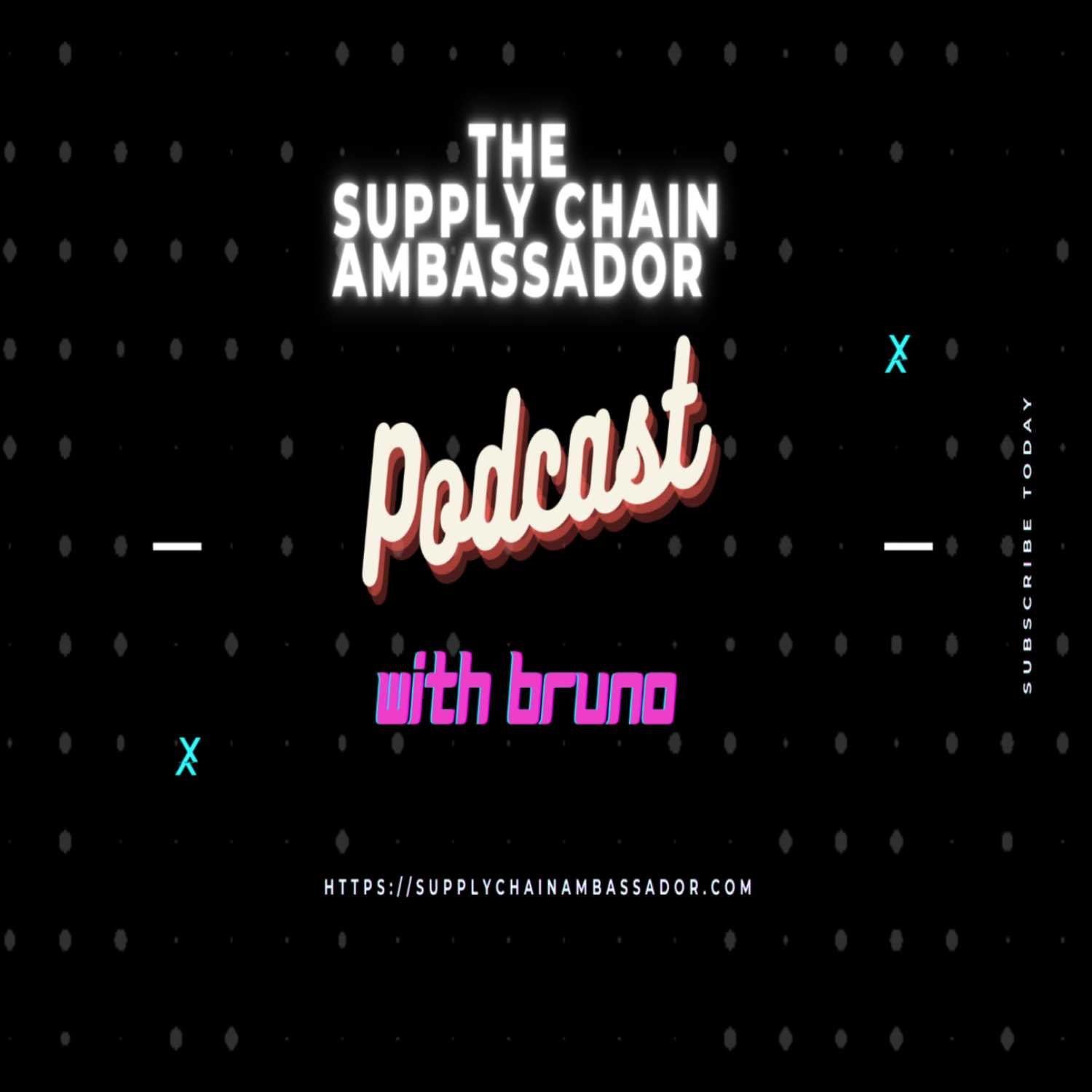 The Supply Chain Ambassador