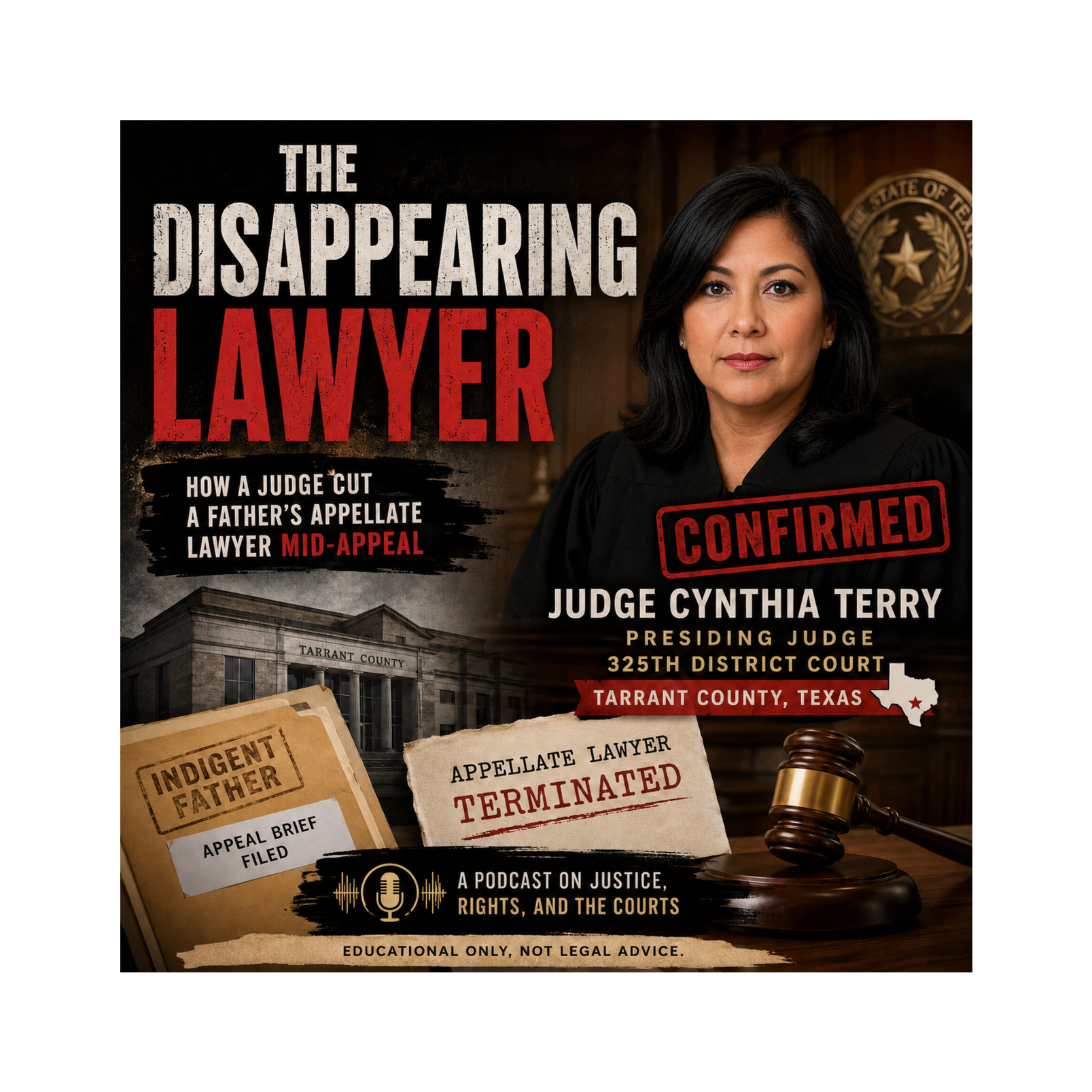 The Disappearing Lawyer episode artwork