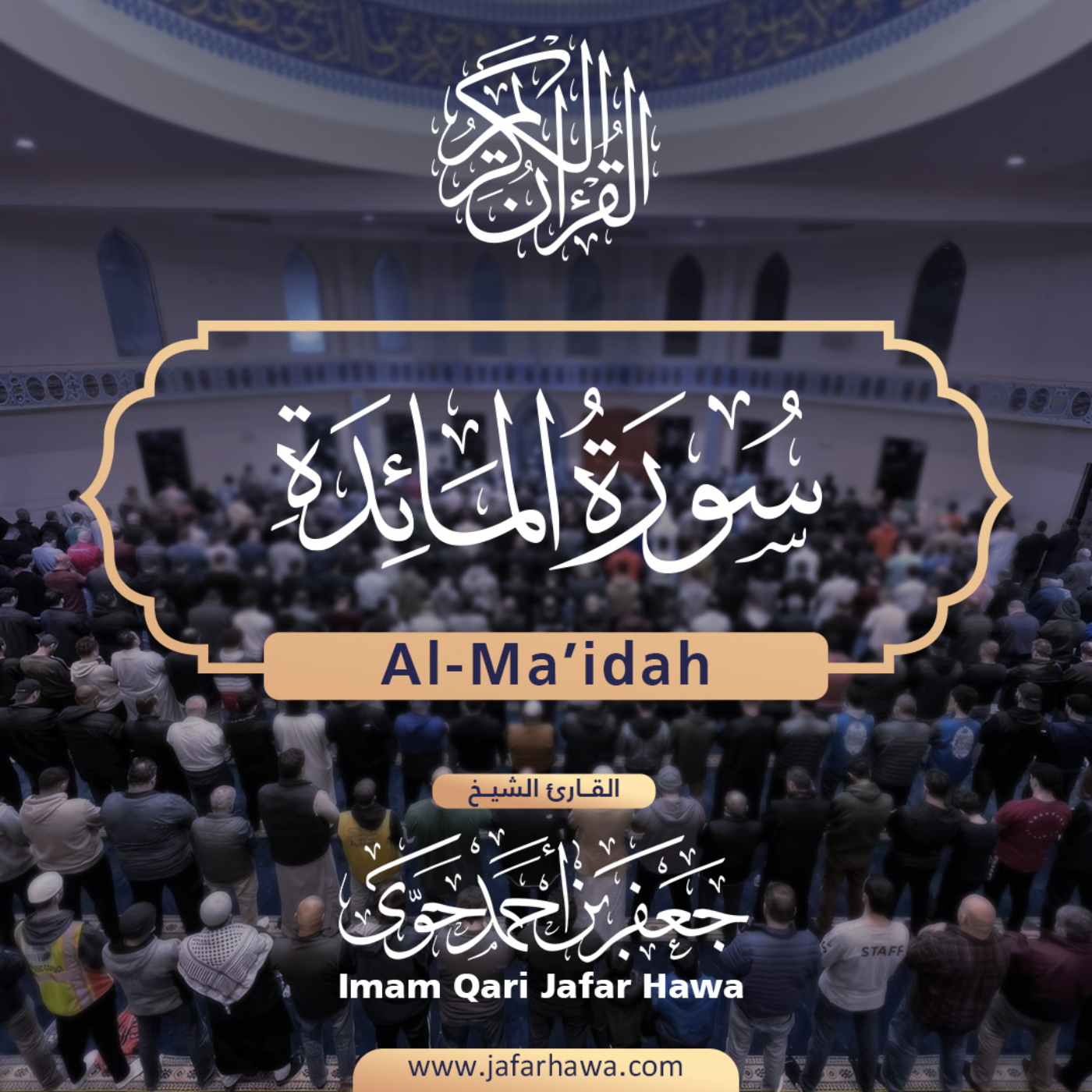 The Holy Quran | القرآن الكريم