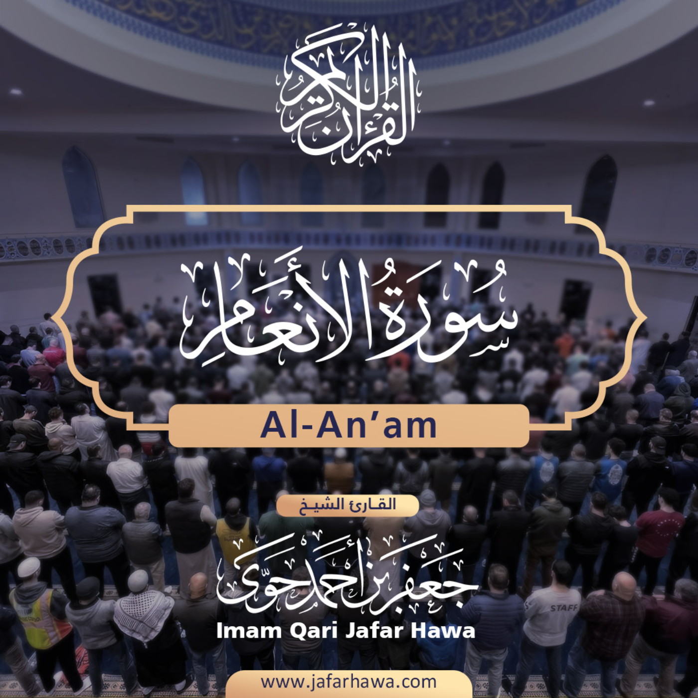 The Holy Quran | القرآن الكريم