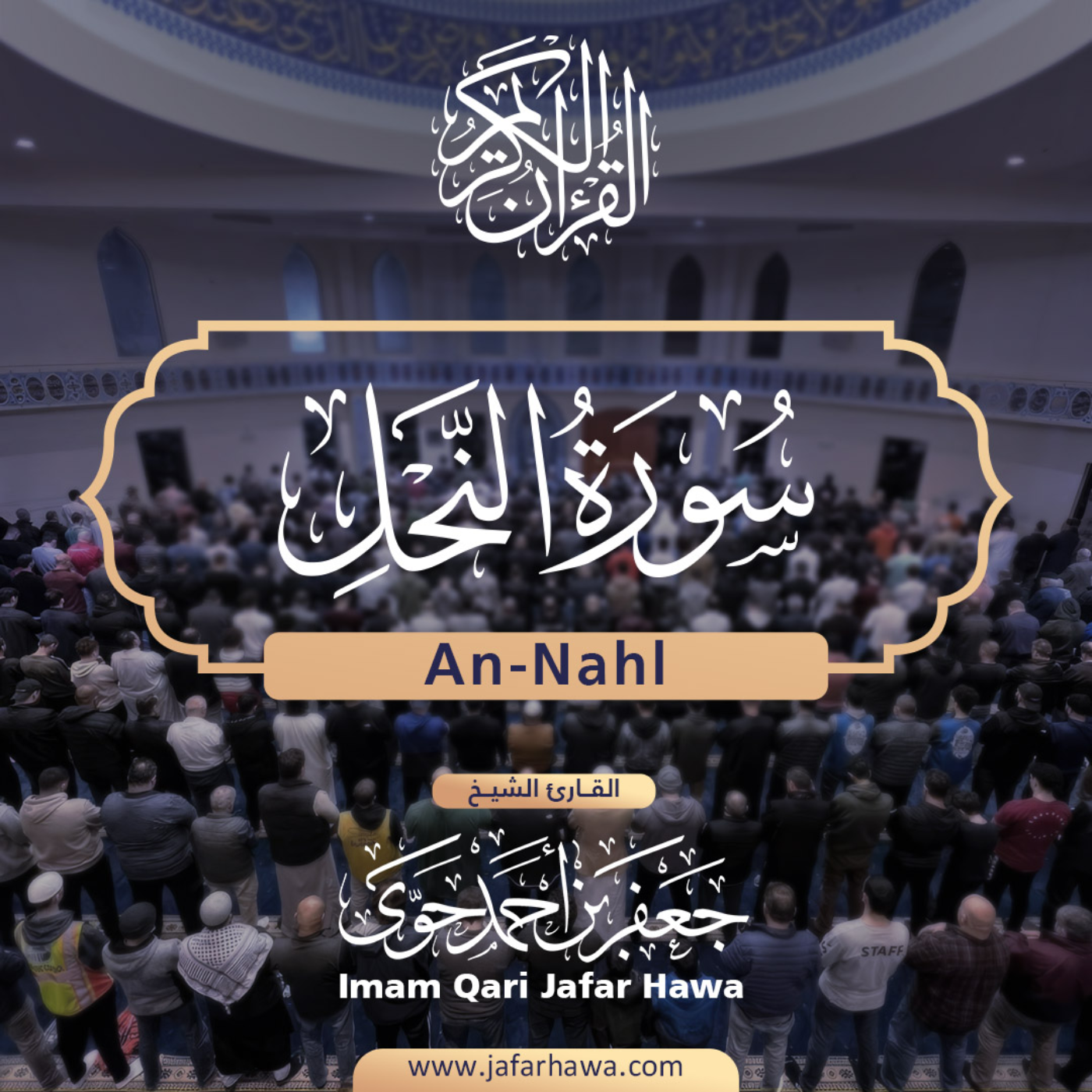 The Holy Quran | القرآن الكريم