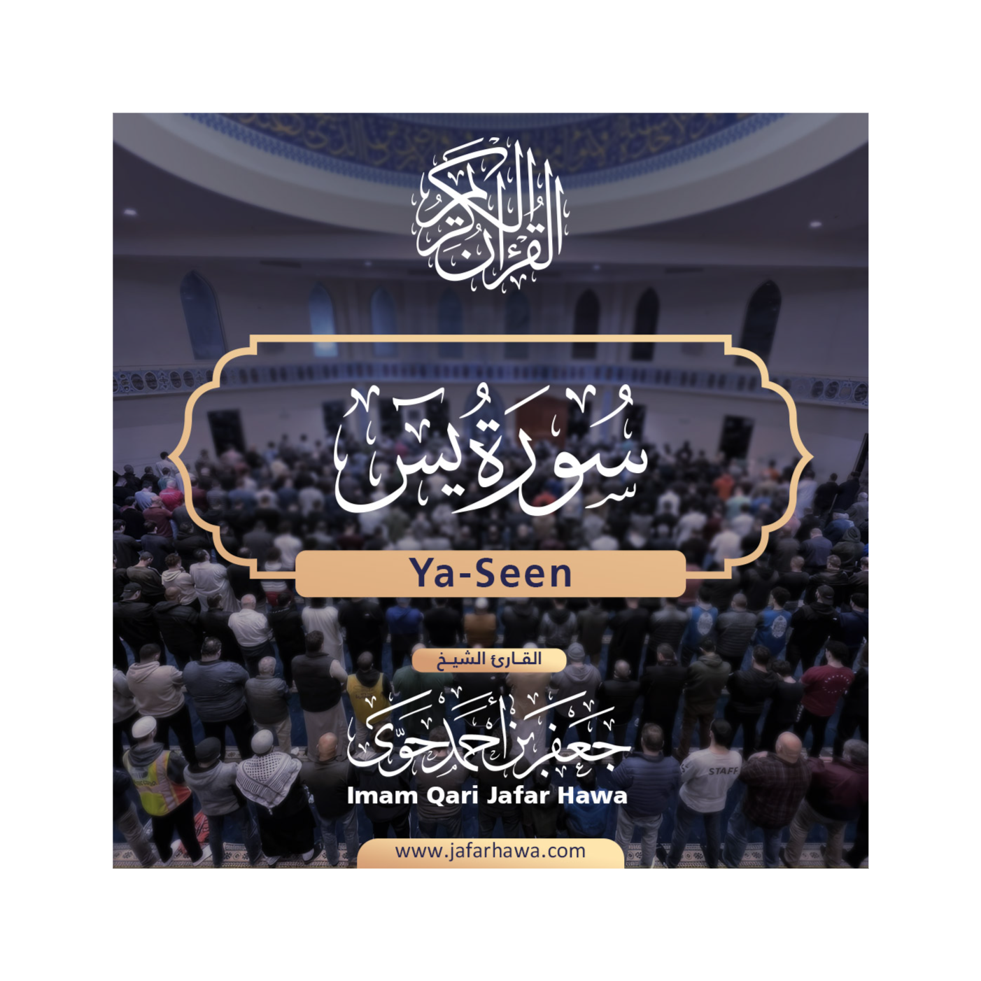 The Holy Quran | القرآن الكريم