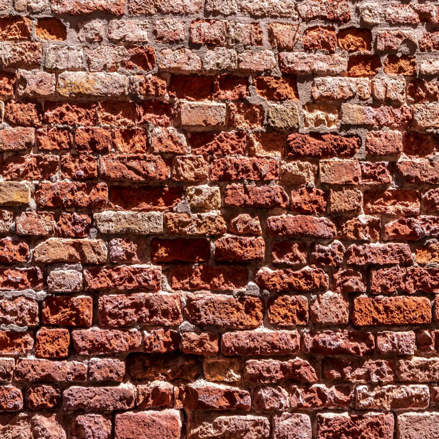 A Sure Foundation