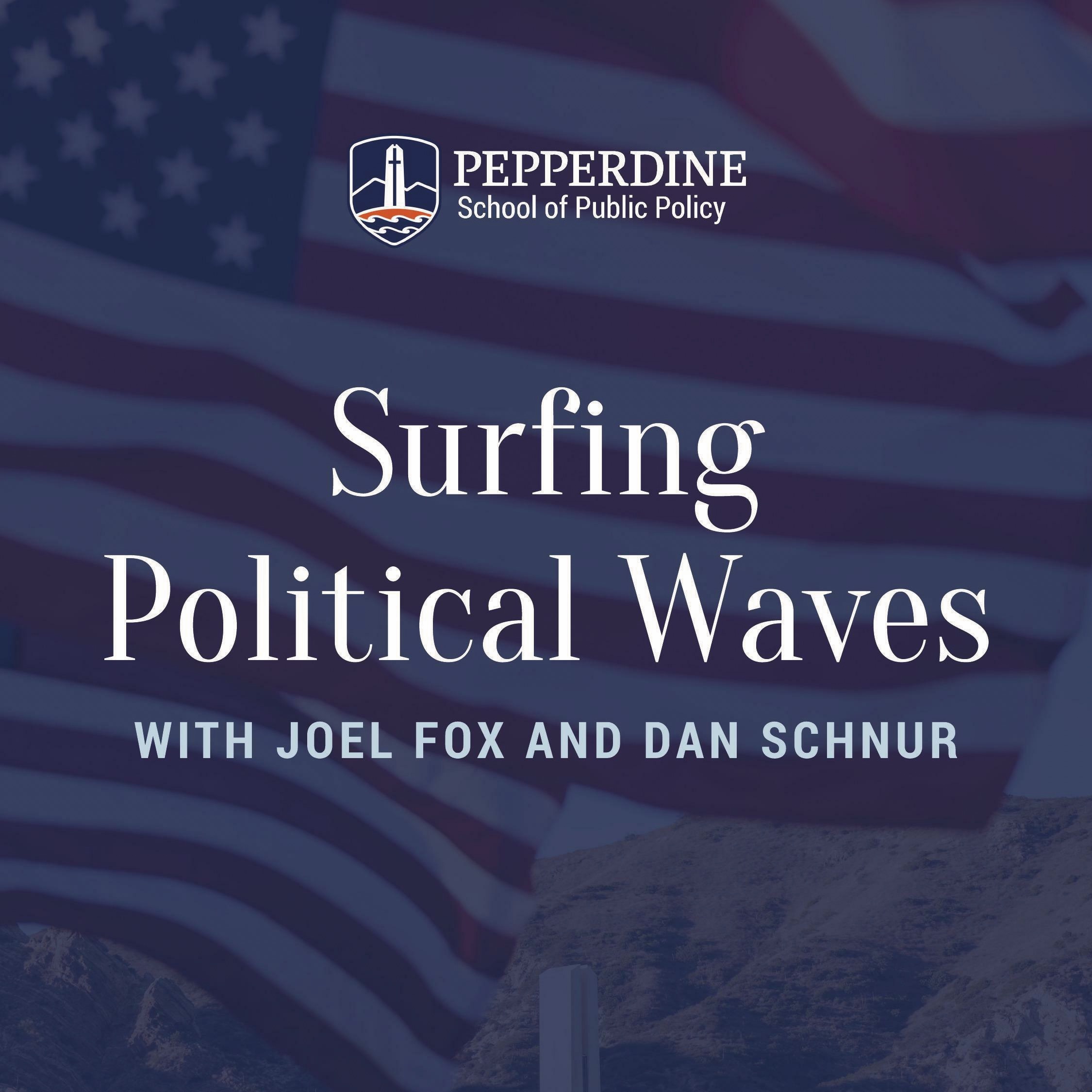 Surfing Political Waves