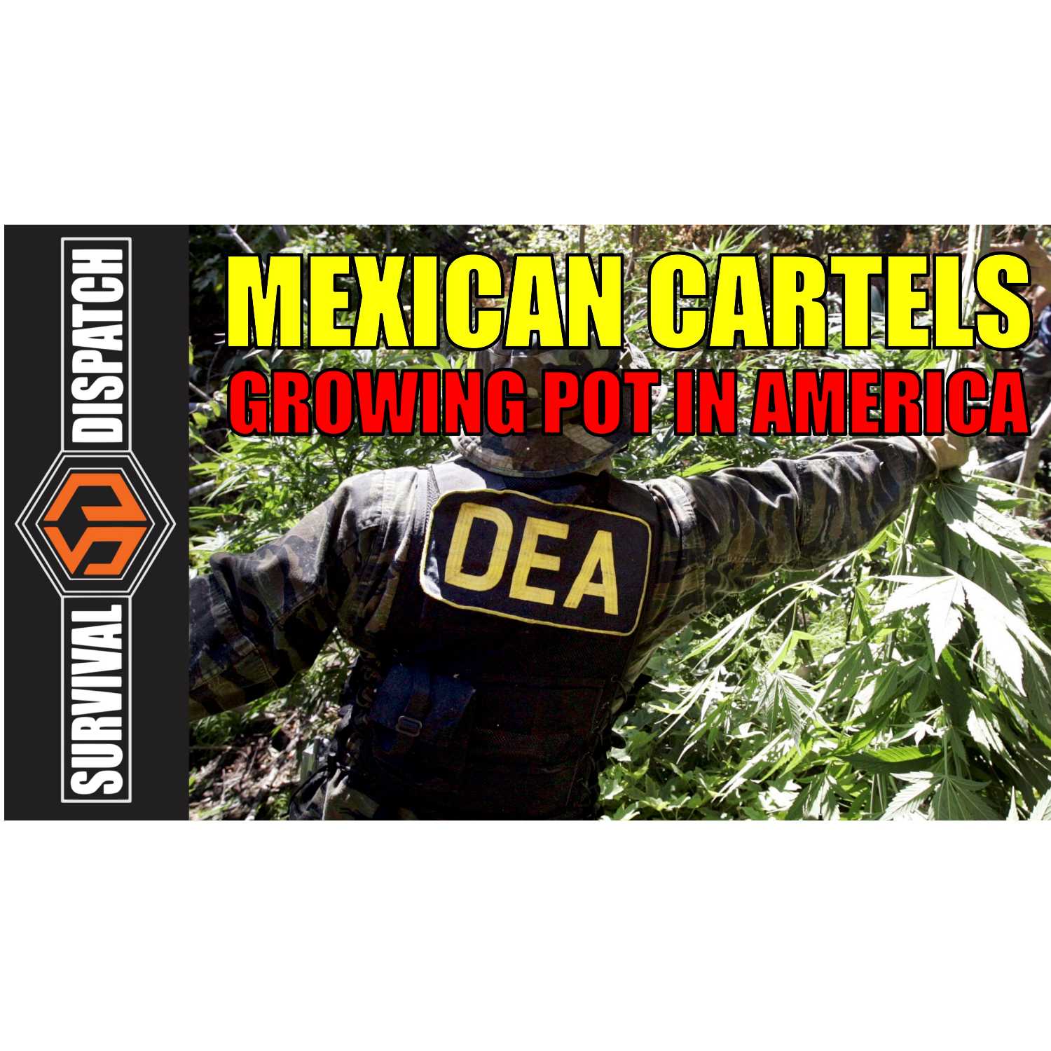 Survival Dispatch Podcasts