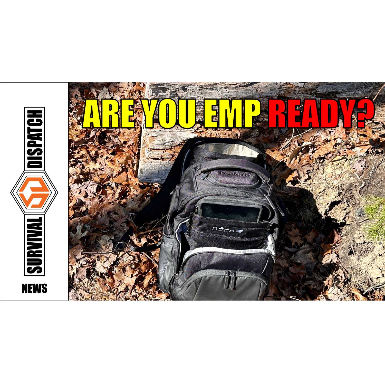 Survival Dispatch Podcasts
