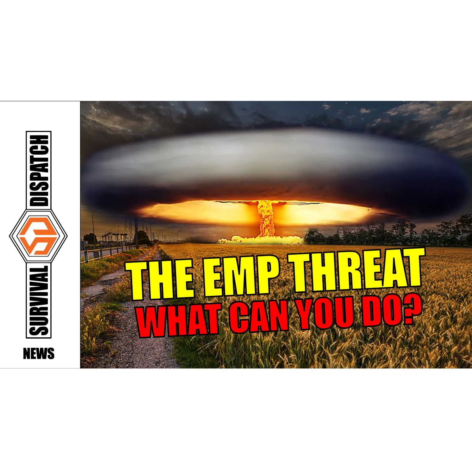Survival Dispatch Podcasts