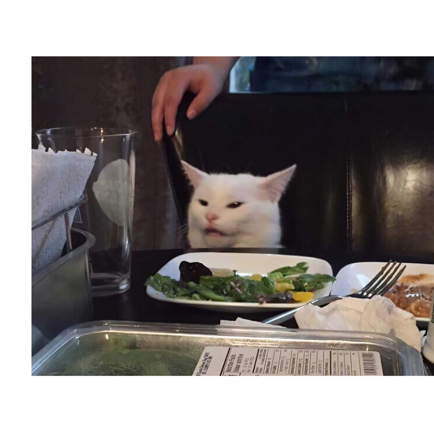 Suspicious Cast cover art