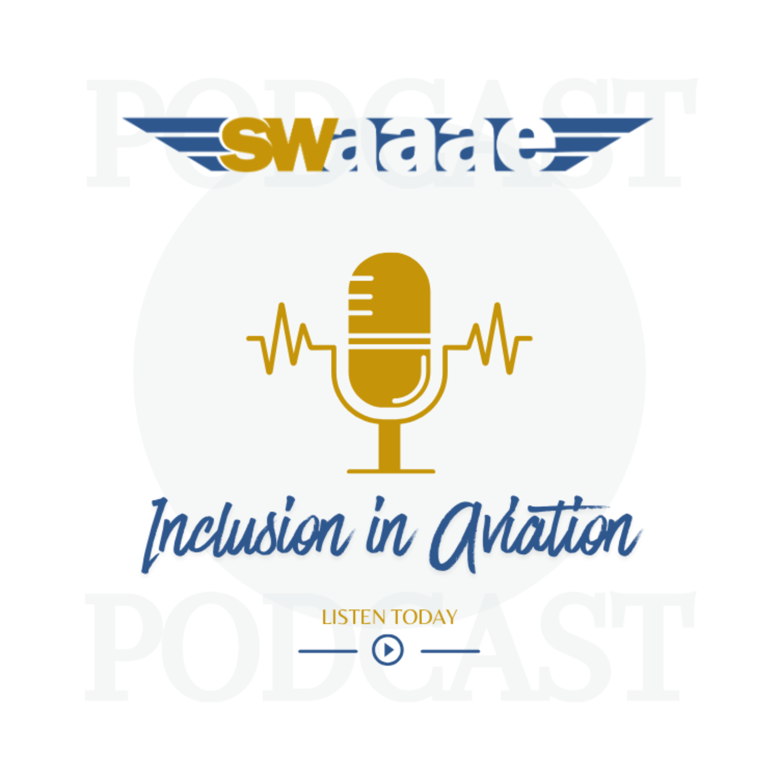 SWAAAE Ticket to Inclusion: Video Podcast
