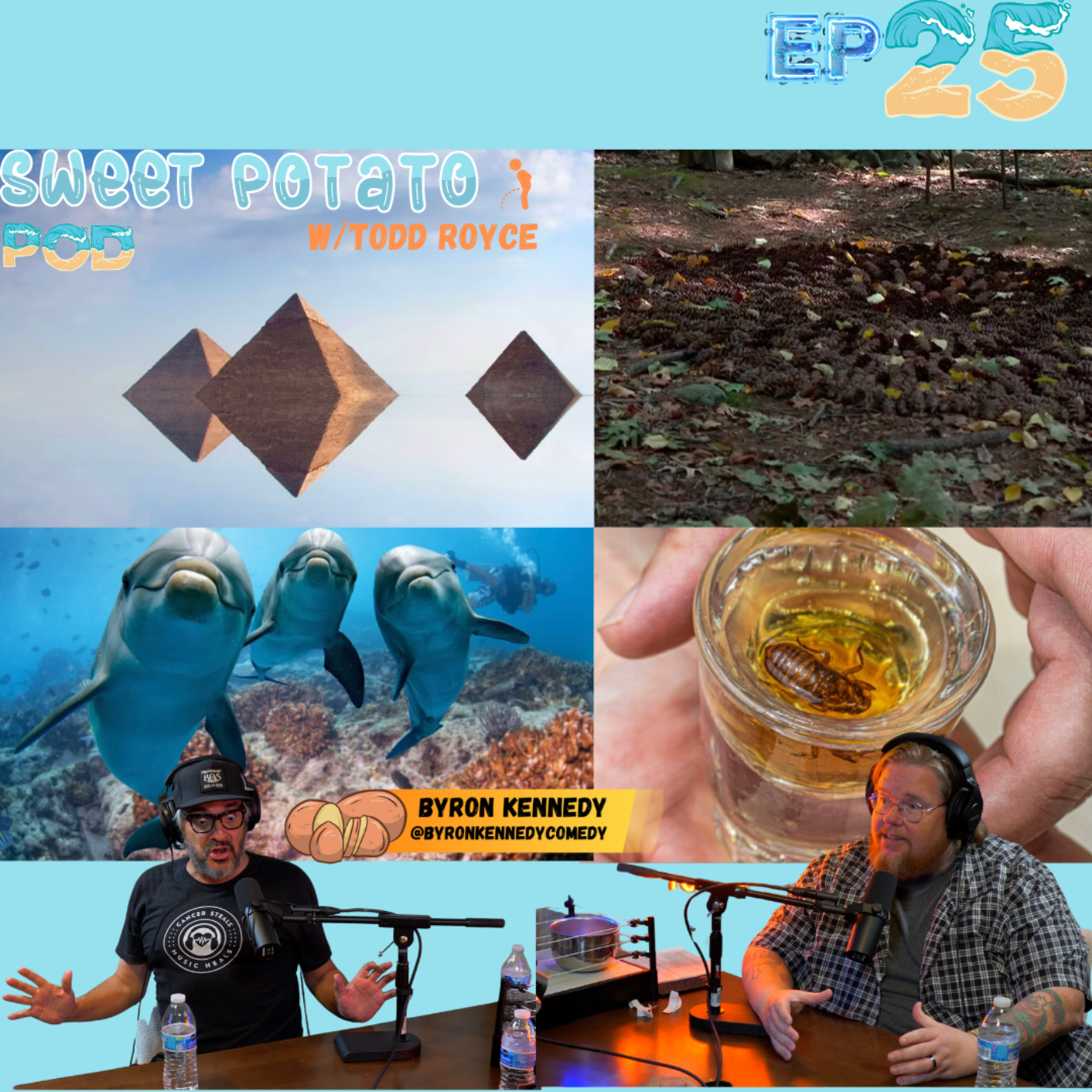Sweet Potato Pod w/ Todd Royce