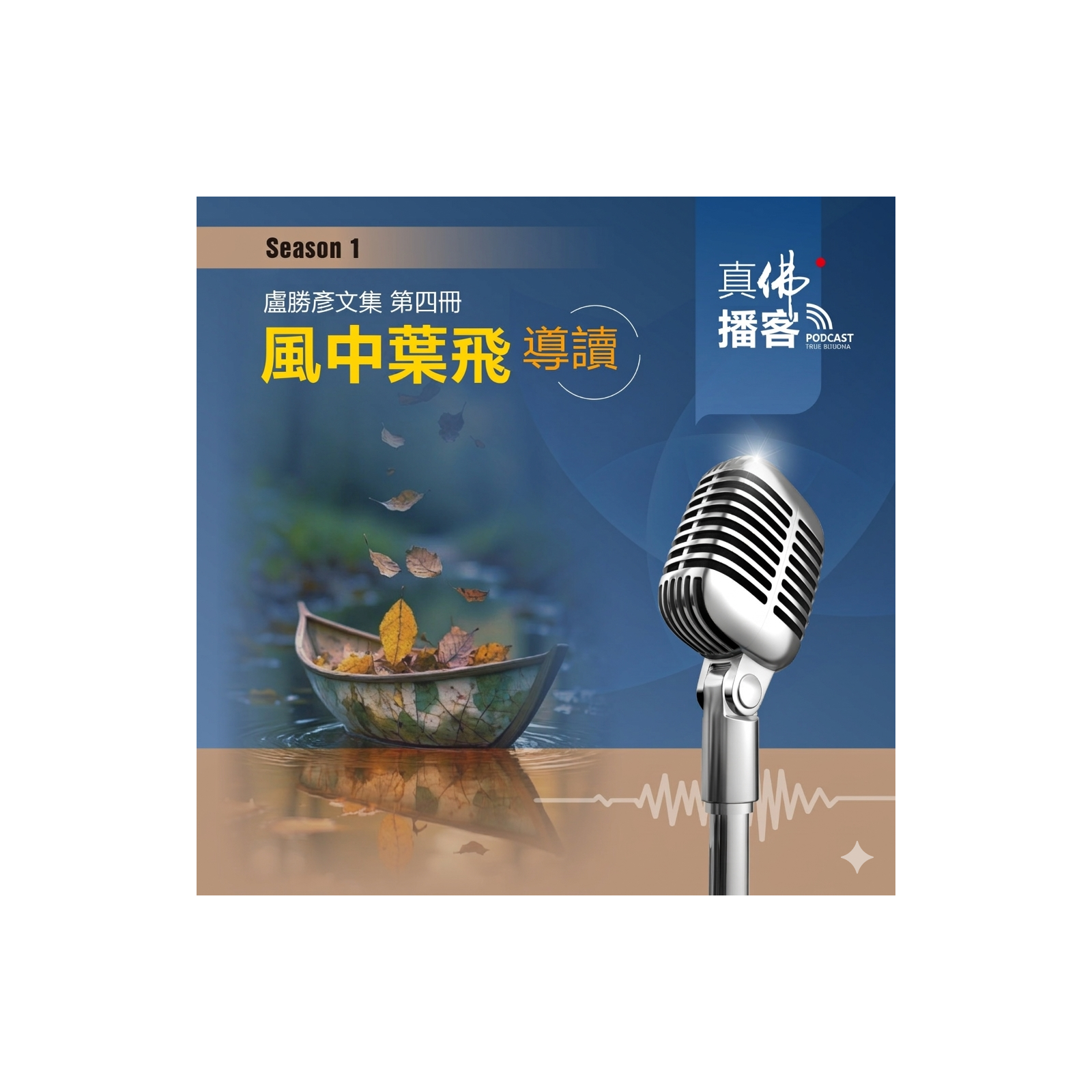 (文集導讀)-第4冊:風中葉飛