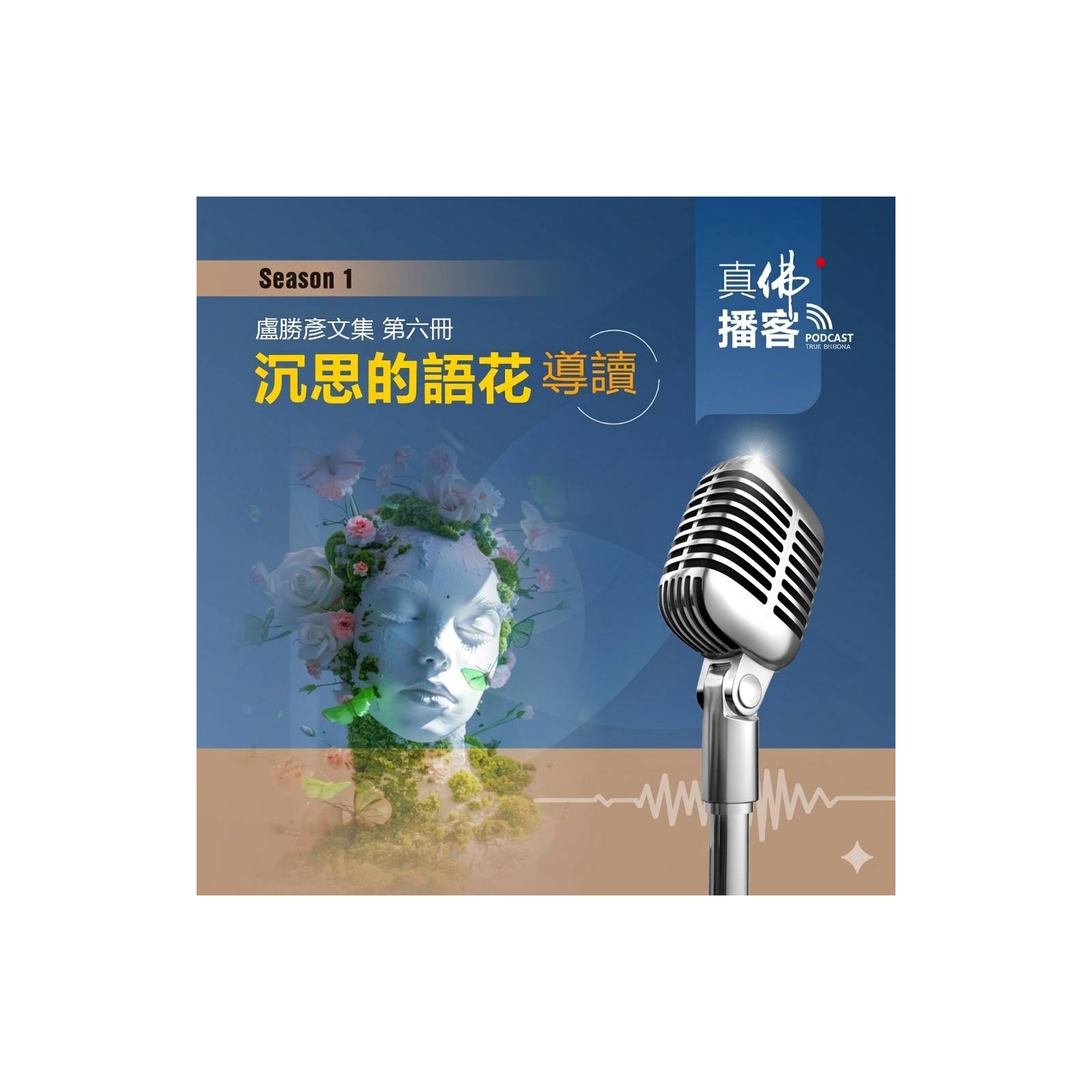 (文集導讀)-第6冊:沉思的雨花