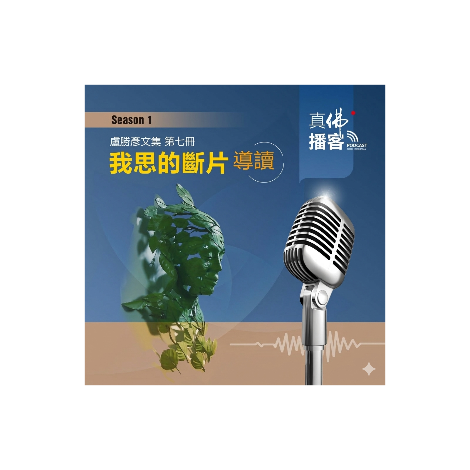 (文集導讀)-第7冊:我思的斷片