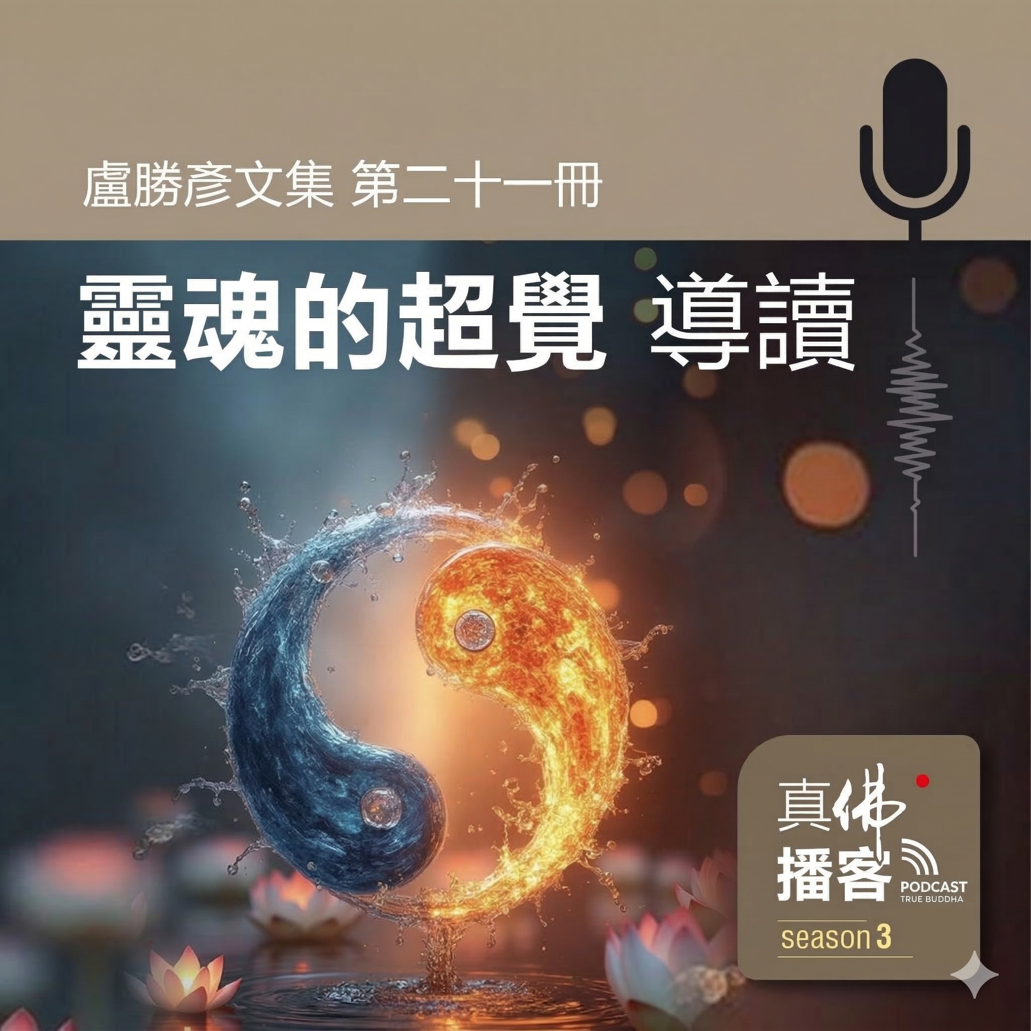 (文集導讀)-第21冊:靈魂的超覺
