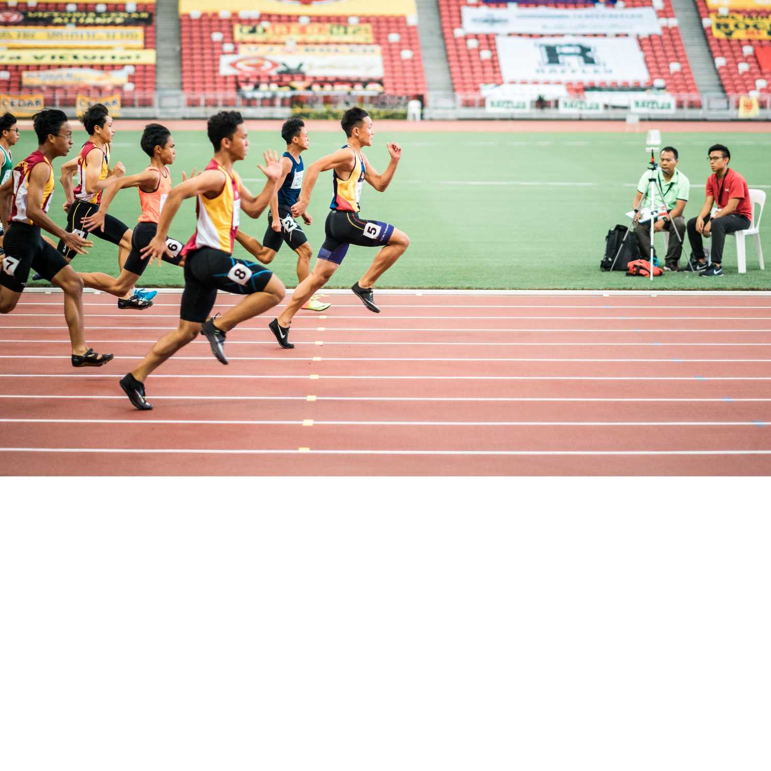 online fogadási platformok