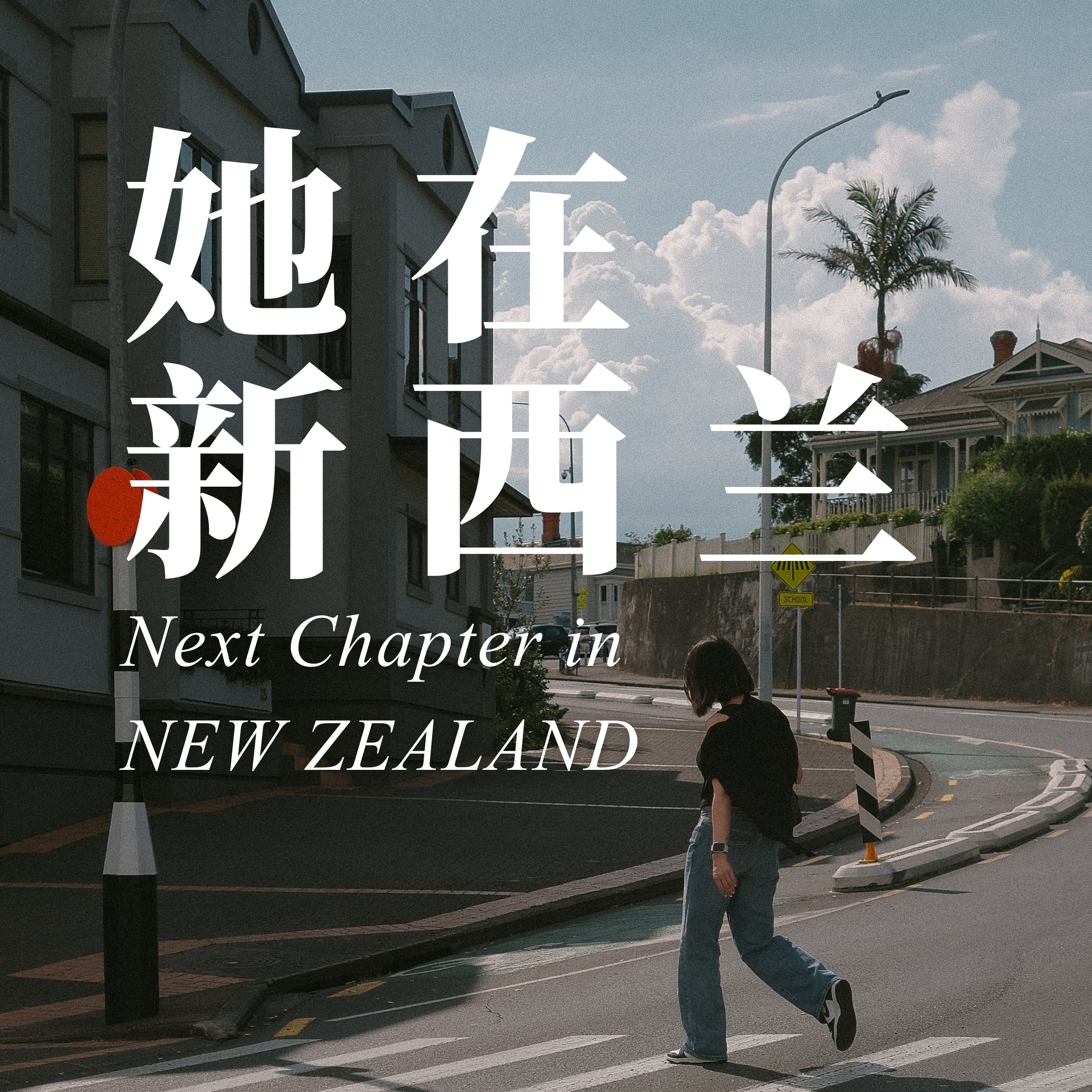 她在新西兰 cover art