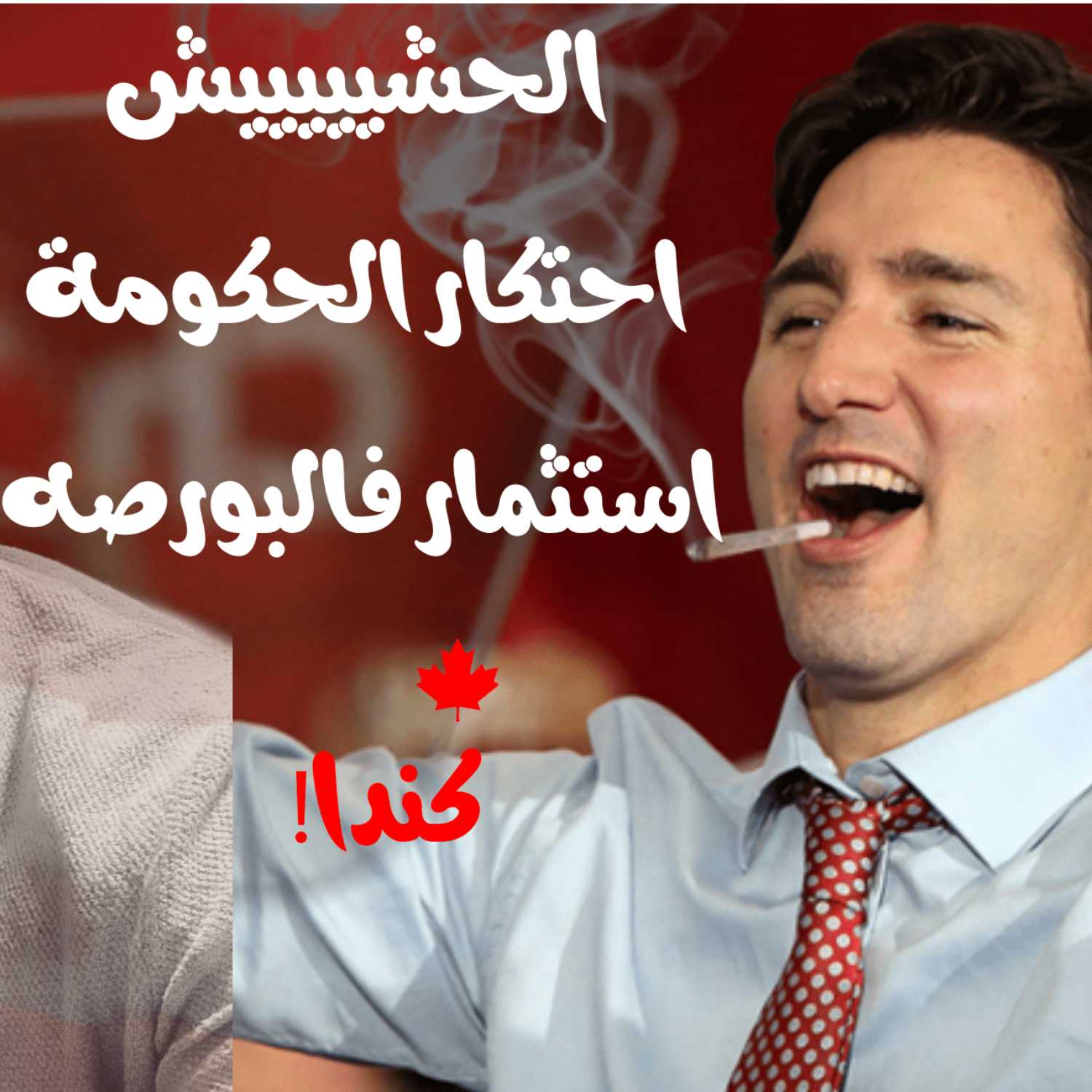 الحشيش بين احتكار الحكومة و الاستثمار فالبورصة - كندا 