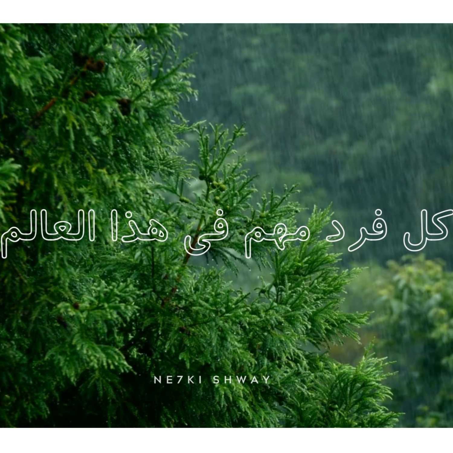 كل فرد مهم في هذا العالم  - حجر صغير - ايليا ابو ماضيي  | بودكاست نحكي شوي