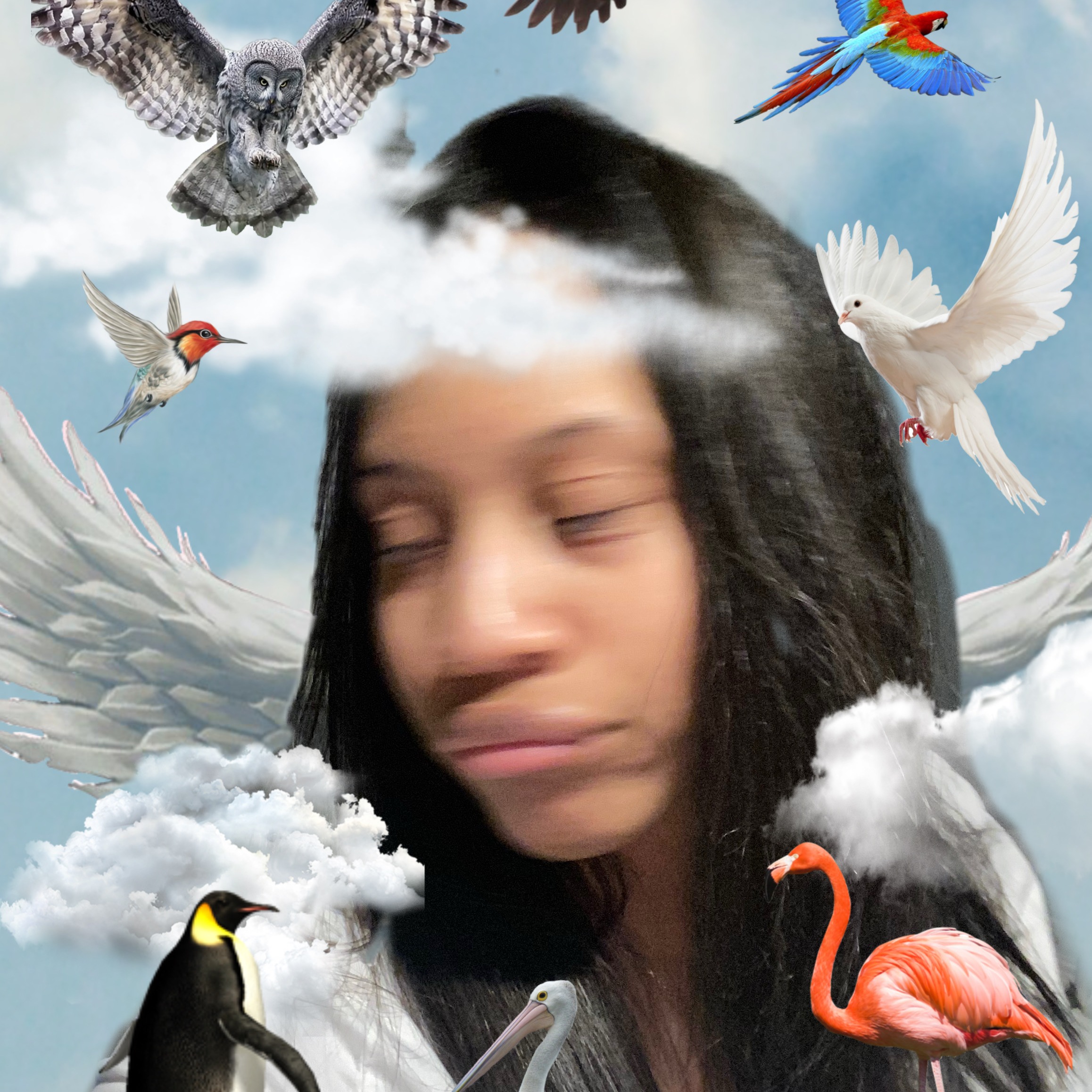 Take Flight With Jaybird Noriega 