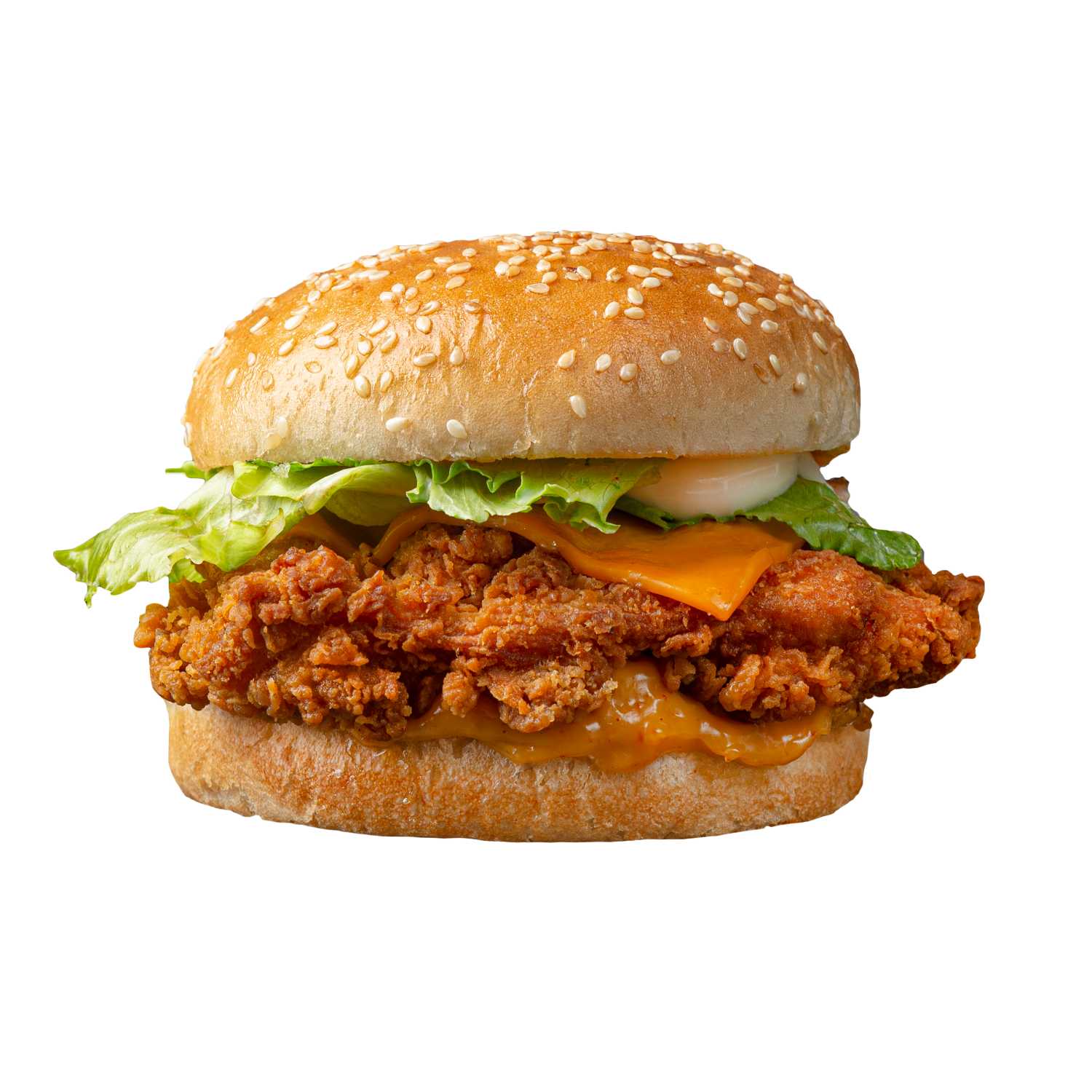 CHICKEN SHOP SPECAIL CHICKEN SHOP SPECAIL