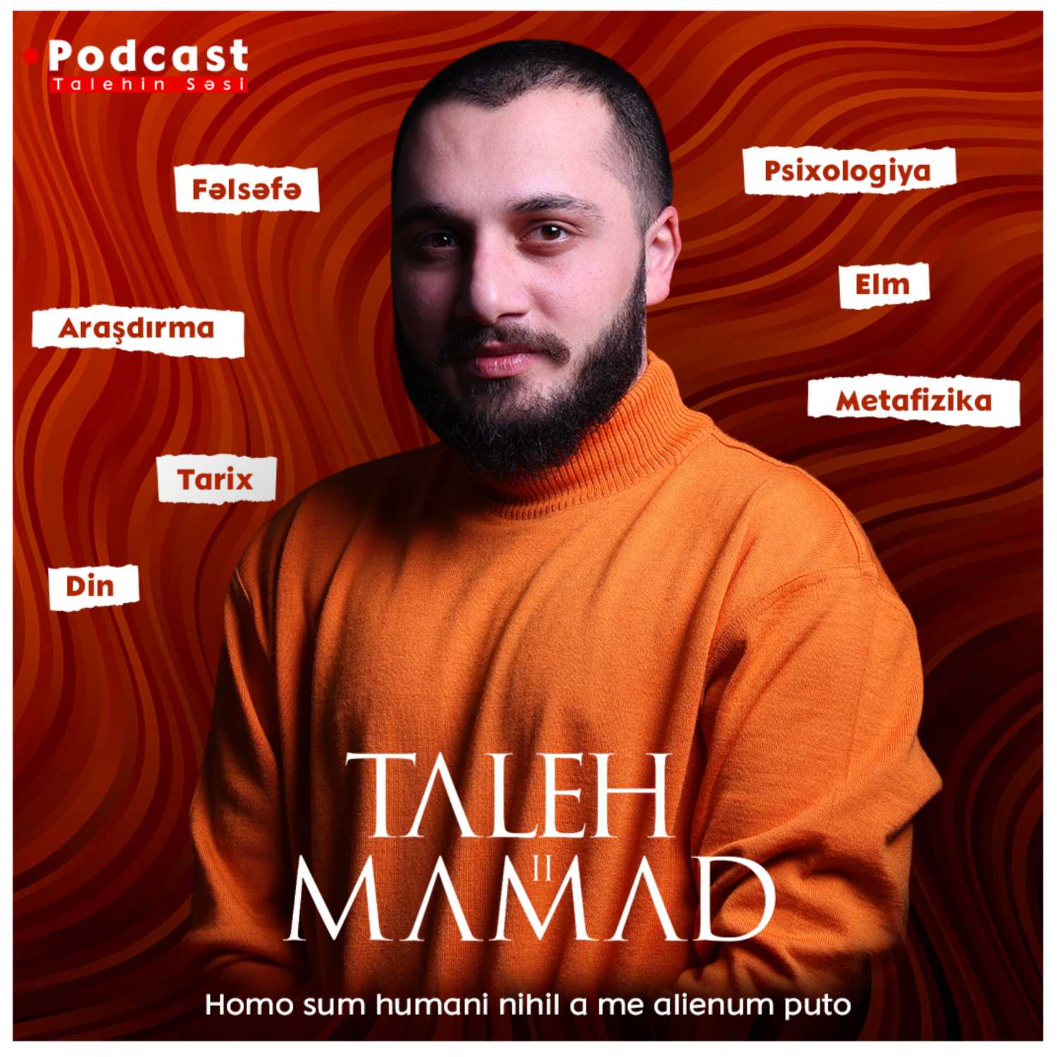 Talehin Səsi