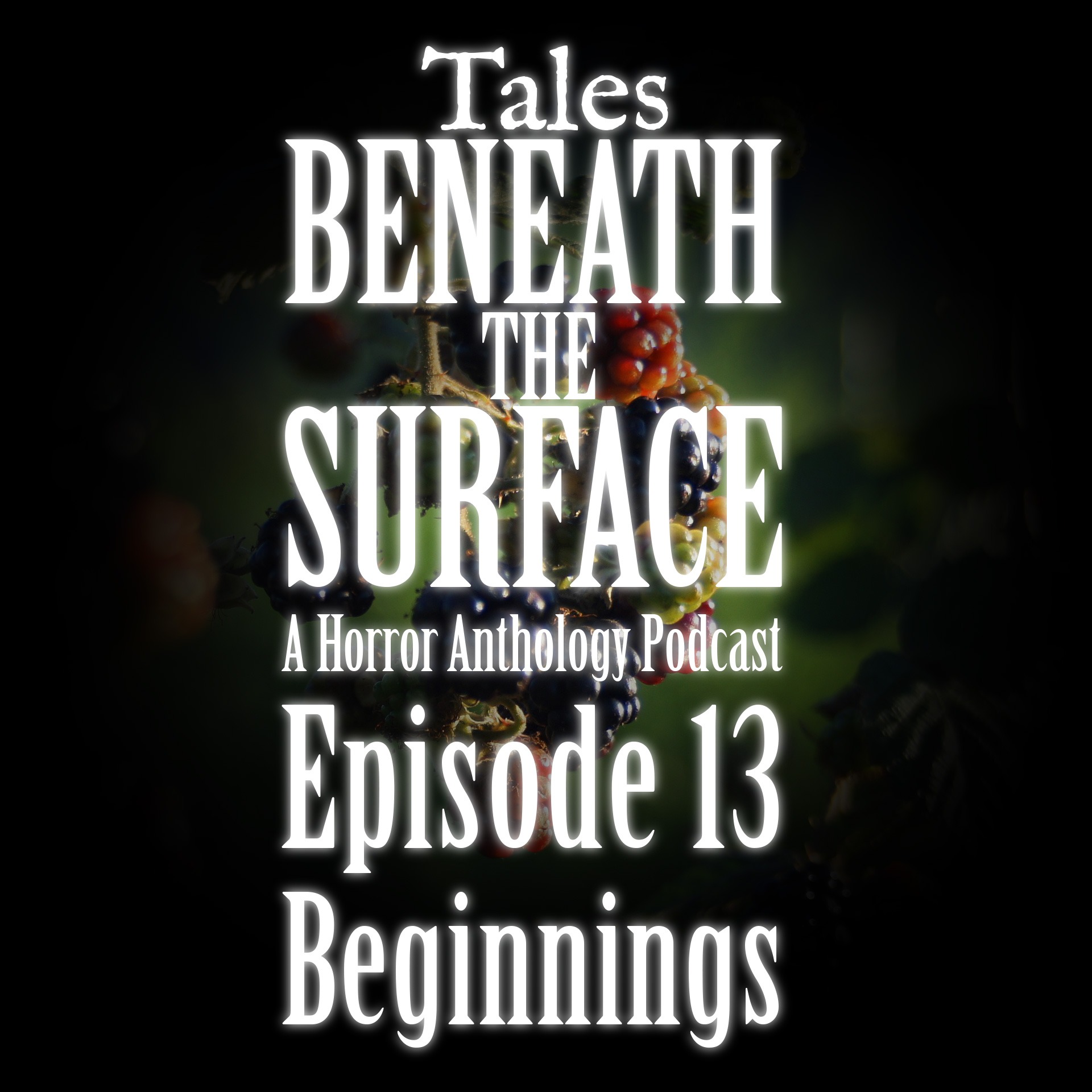 Beginnings: Episode 13