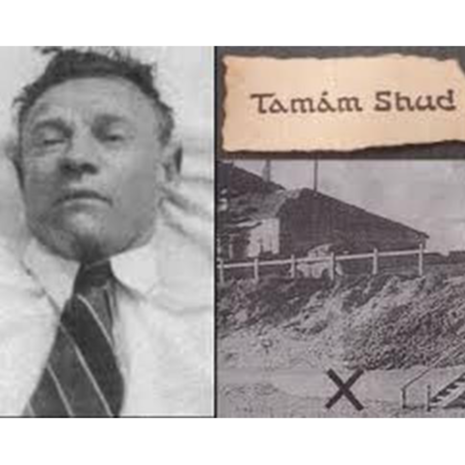The Taman Shud Case episode artwork