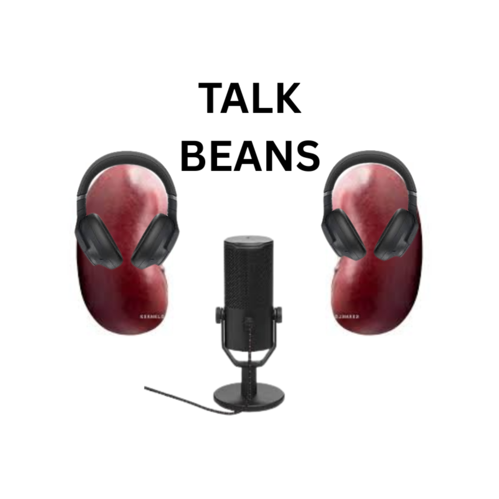 Talk Beans