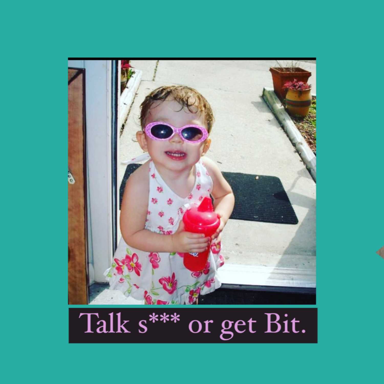 Talk s*** or get Bit.