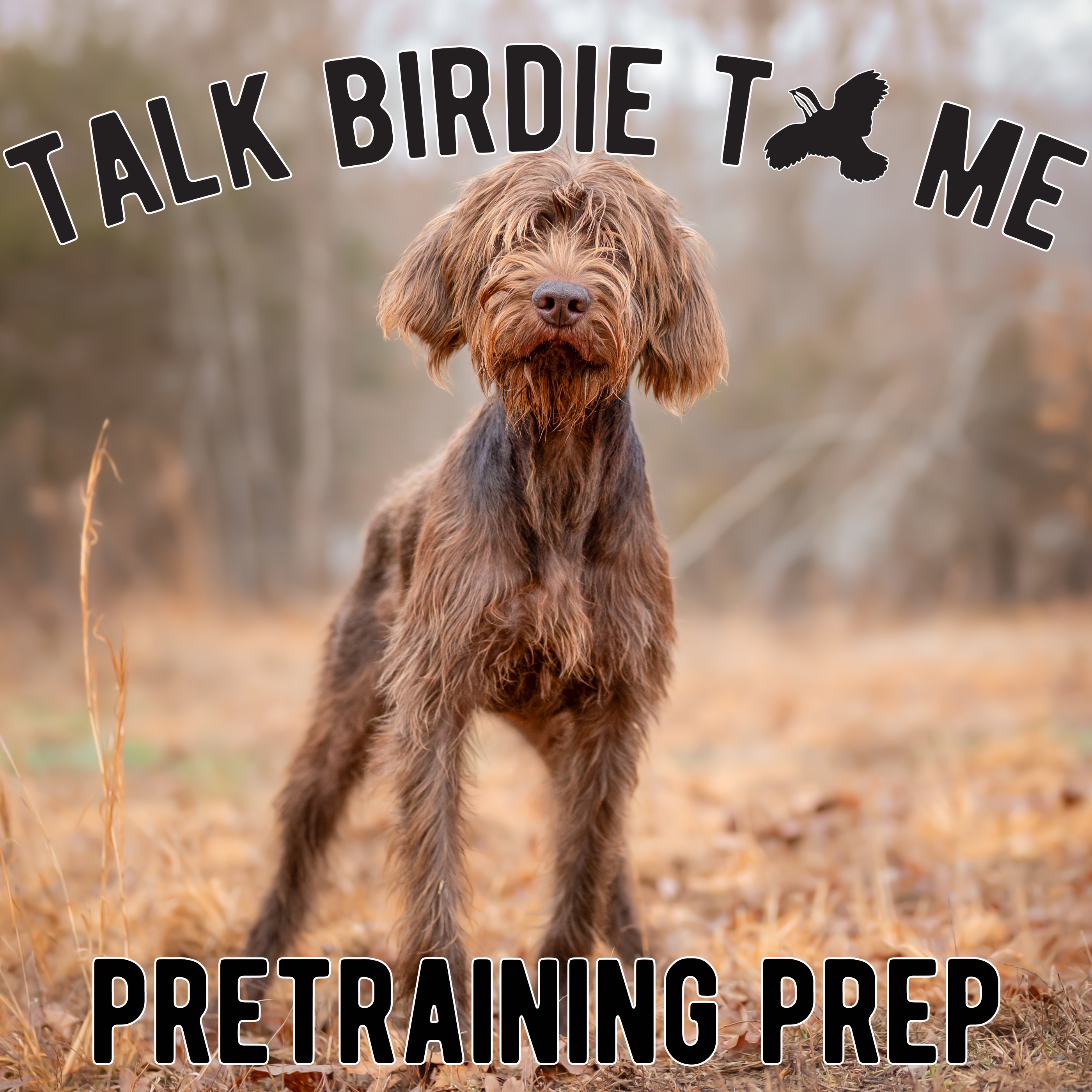 Talk Birdie to Me: Bird Dog Banter with Emily