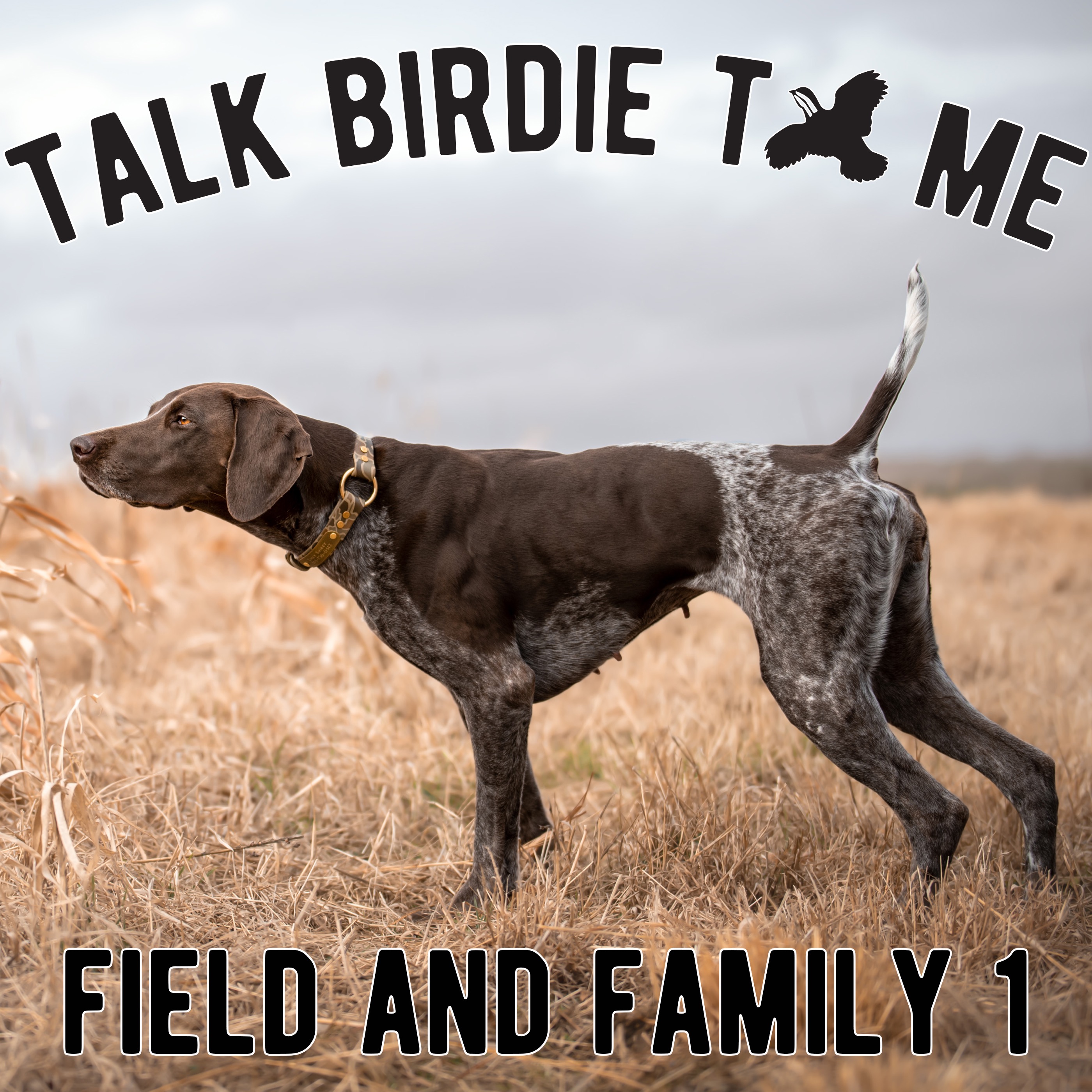 Talk Birdie to Me: Bird Dog Banter with Emily