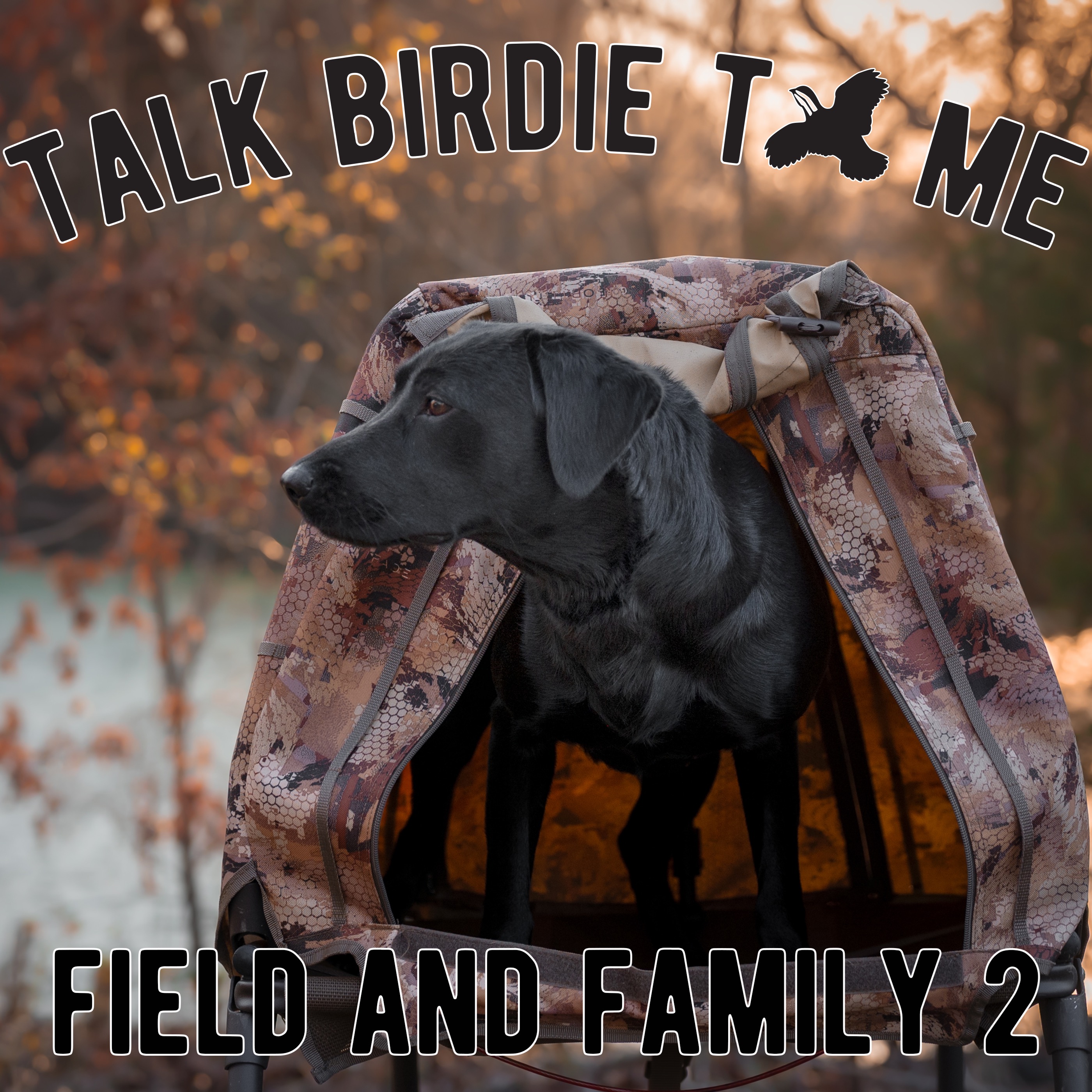 Talk Birdie to Me: Bird Dog Banter with Emily