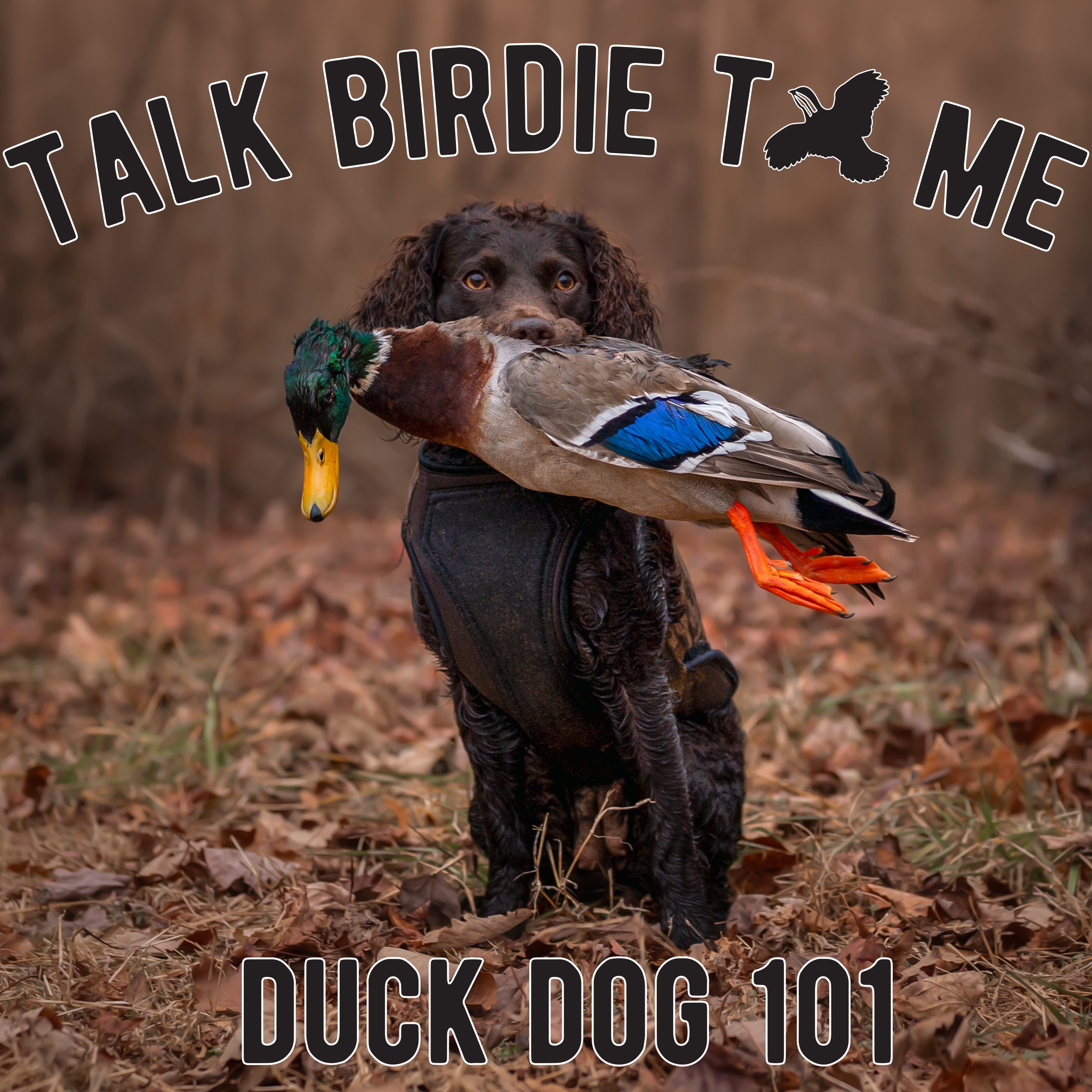 Talk Birdie to Me: Bird Dog Banter with Emily