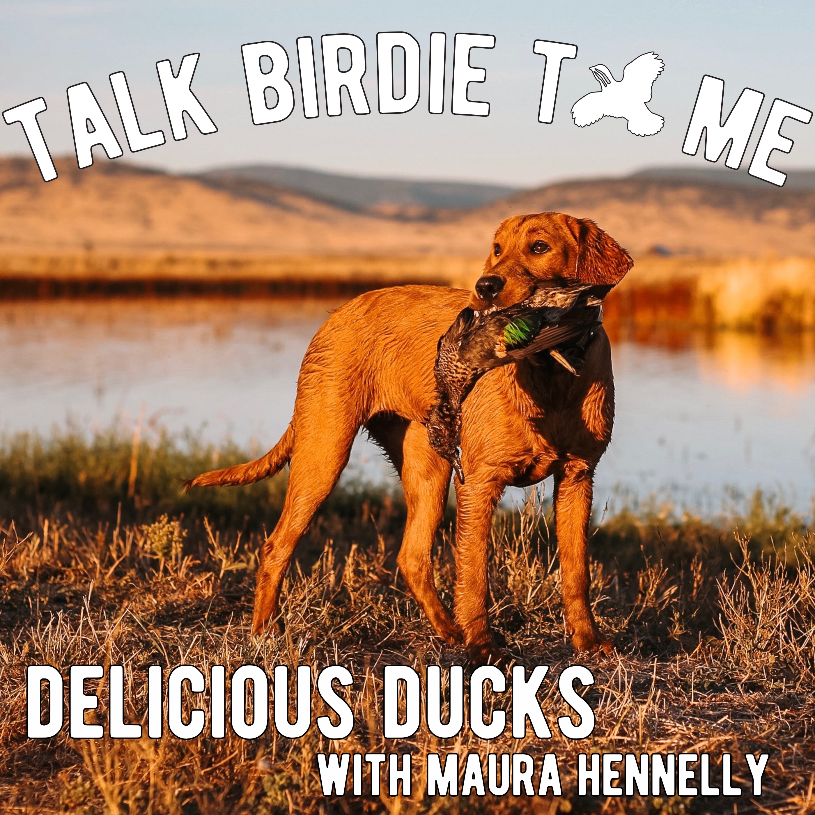 Talk Birdie to Me: Bird Dog Banter with Emily