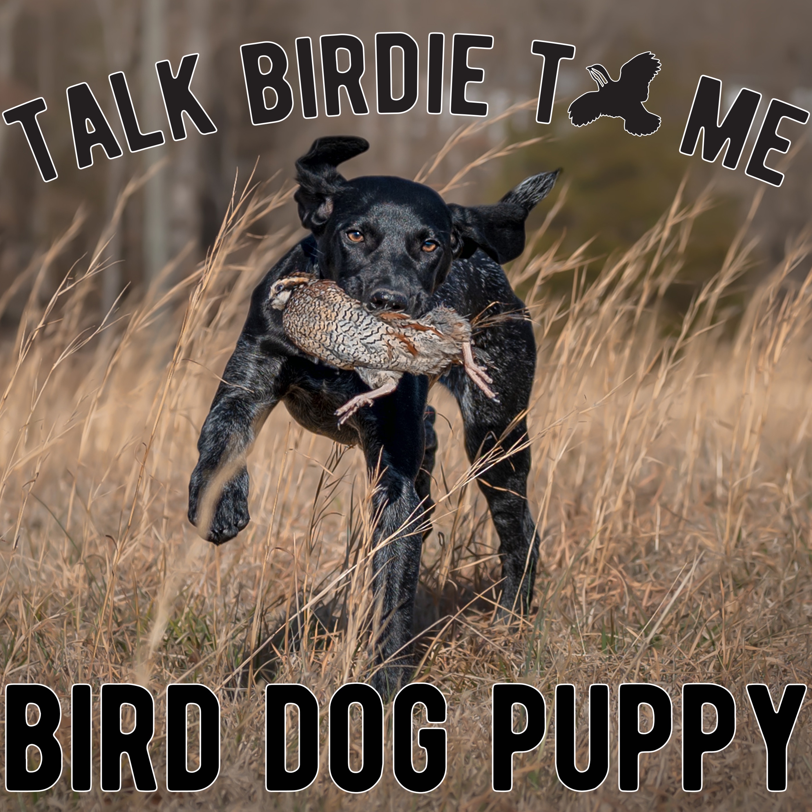 Talk Birdie to Me: Bird Dog Banter with Emily