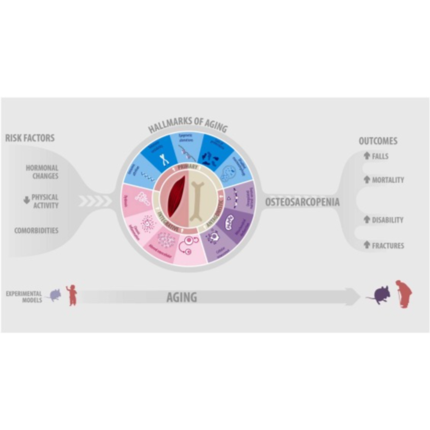Talking Healthspan