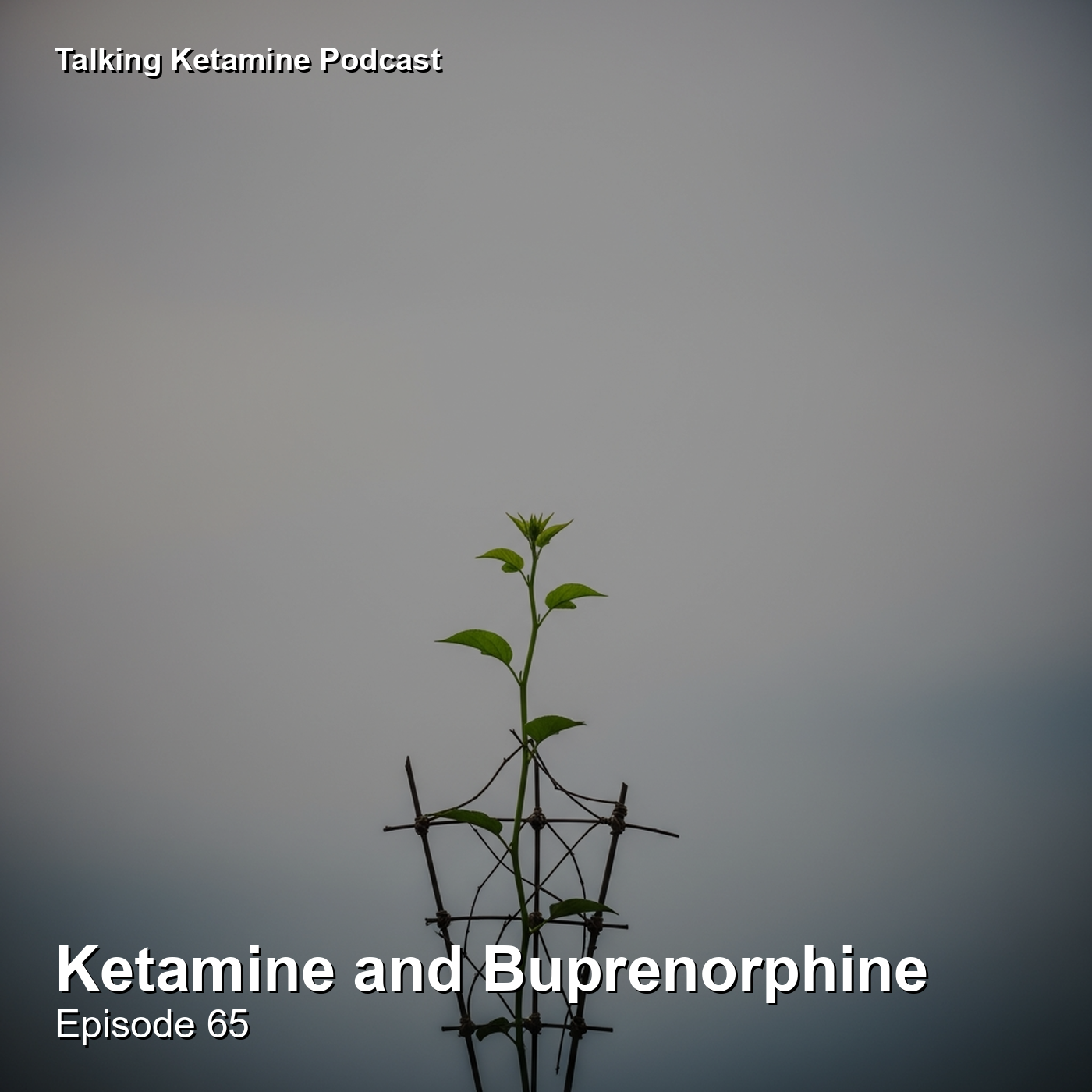 Ketamine and Buprenorphine episode artwork