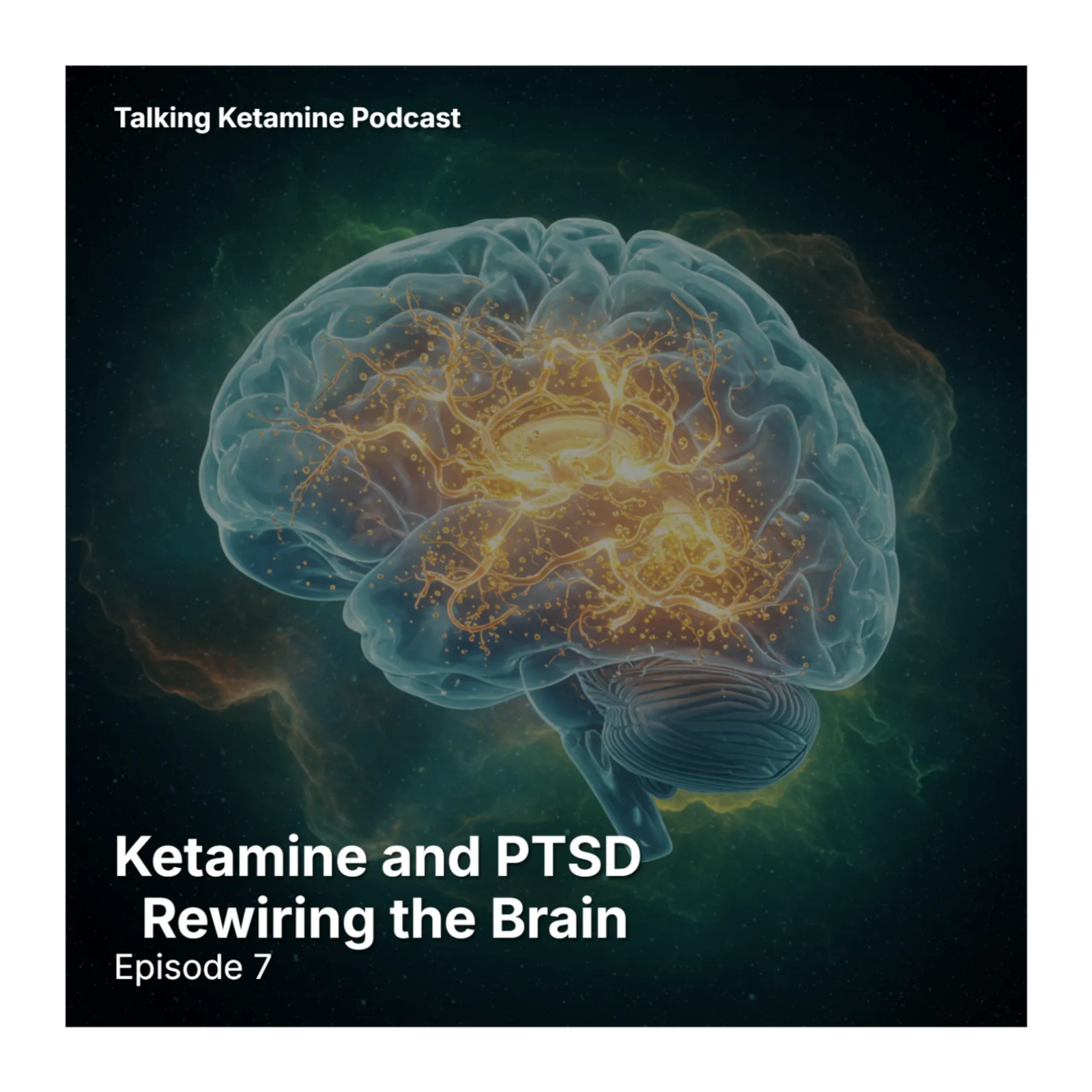 Ketamine and PTSD - Rewiring the Brain episode artwork