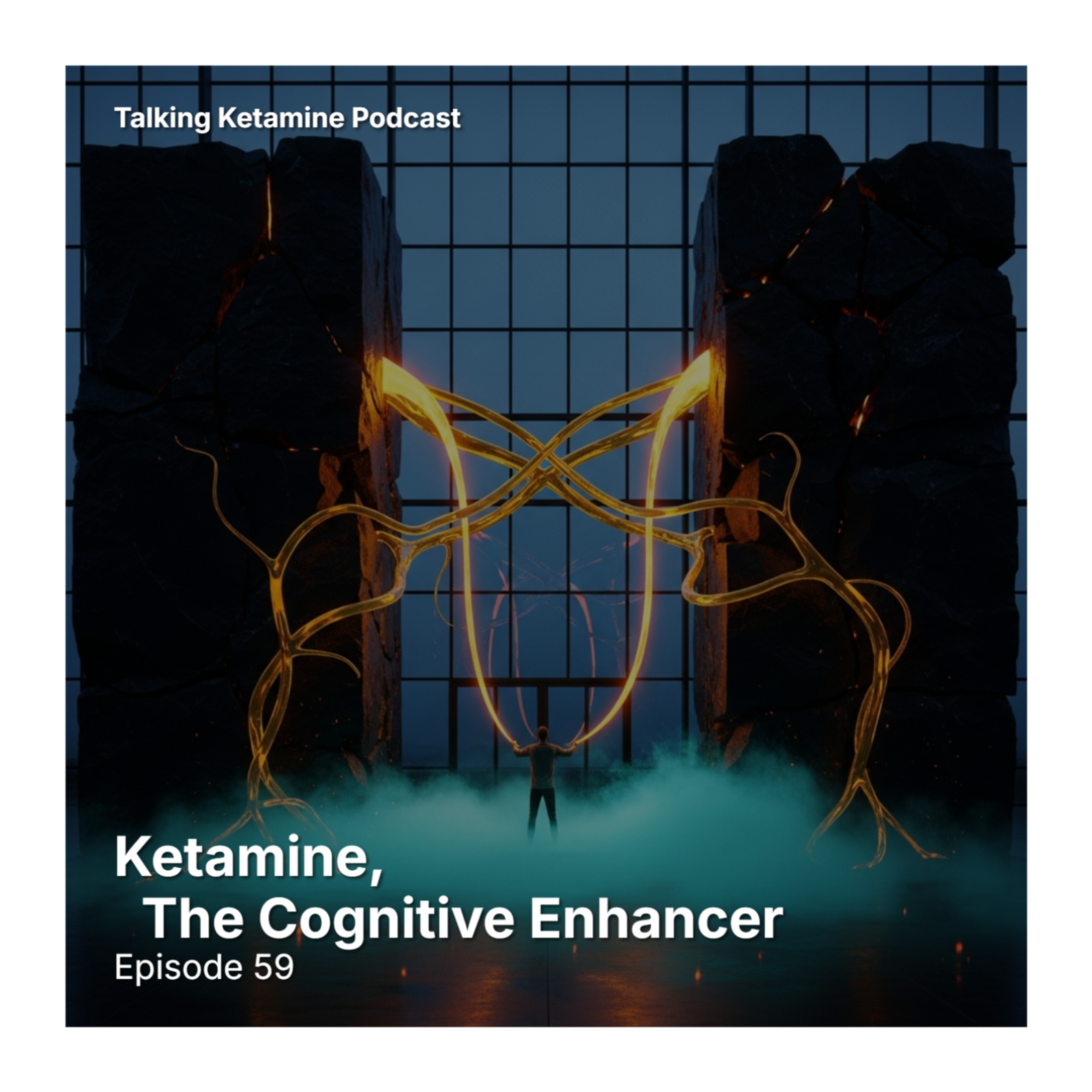 Ketamine, the Cognitive Enhancer episode artwork