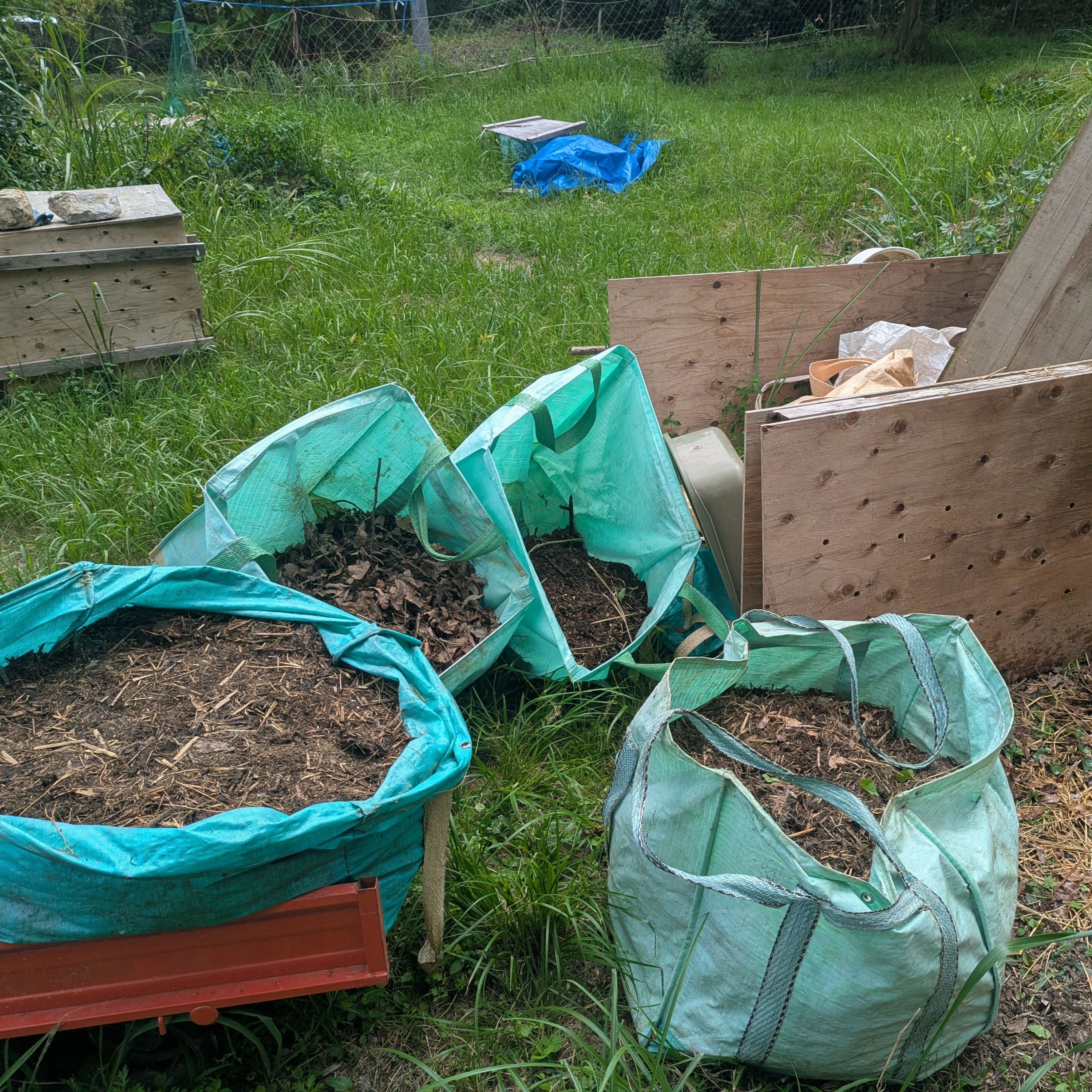 Tamba Farm Diary