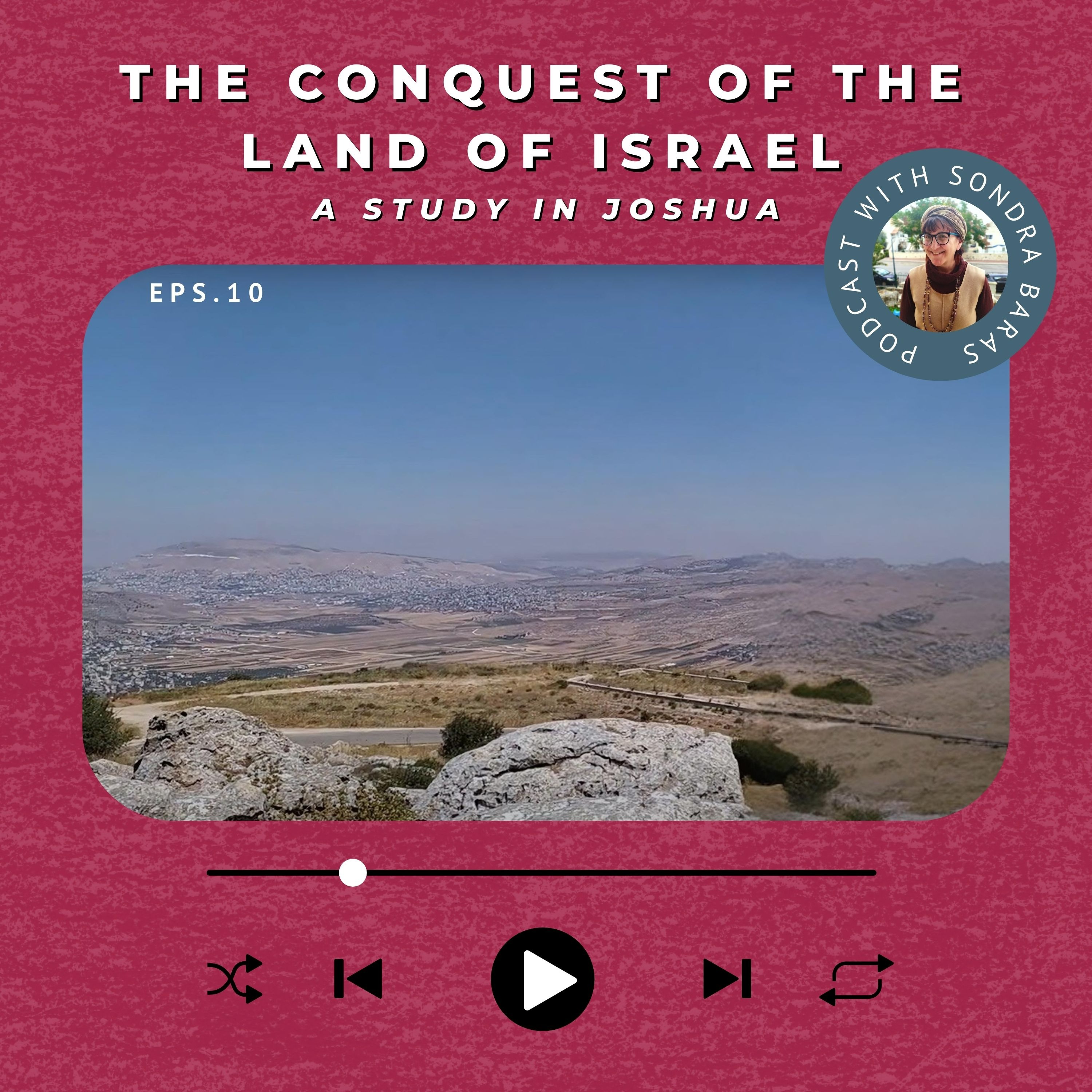 Joshua Builds an Altar to the Lord on Mount Ebal episode artwork