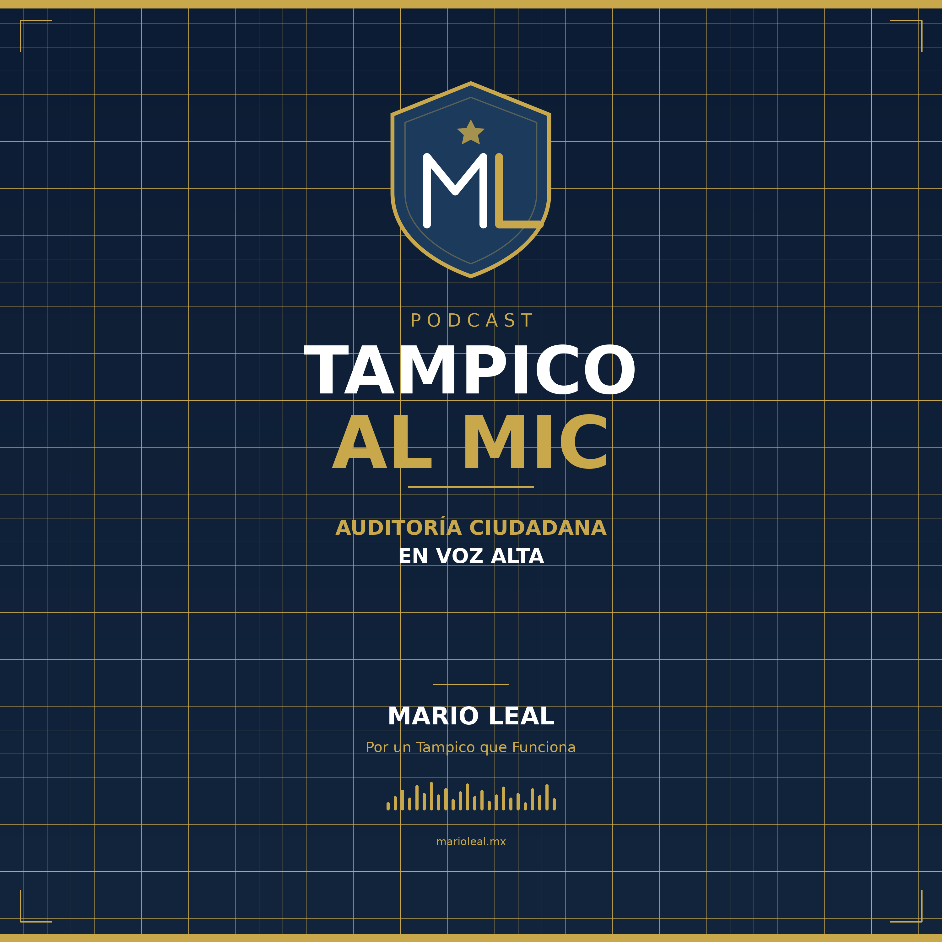 Tampico al Mic — Auditoría Ciudadana en Voz Alta