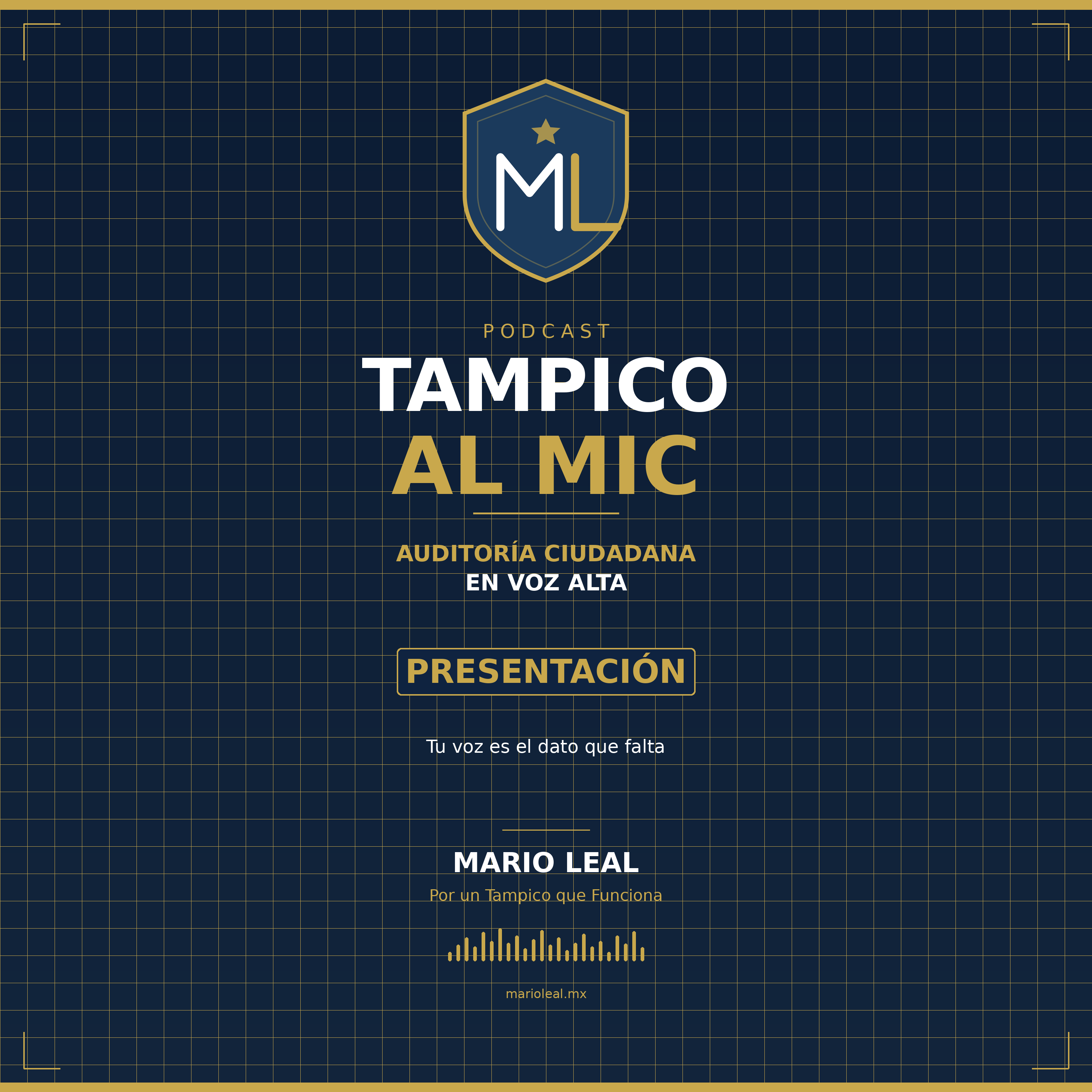 Presentación: Tampico al Mic — Tu voz es el dato que falta episode artwork