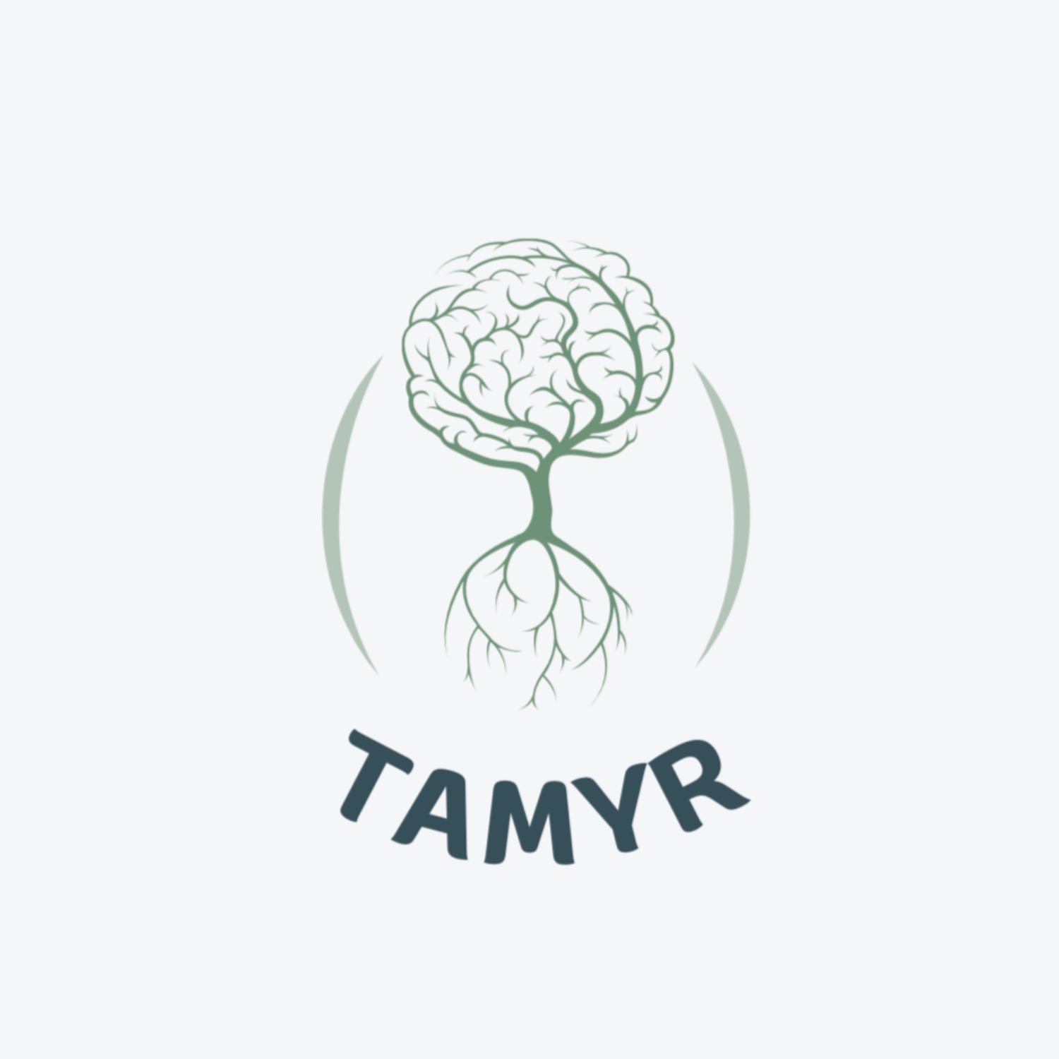 Tamyr