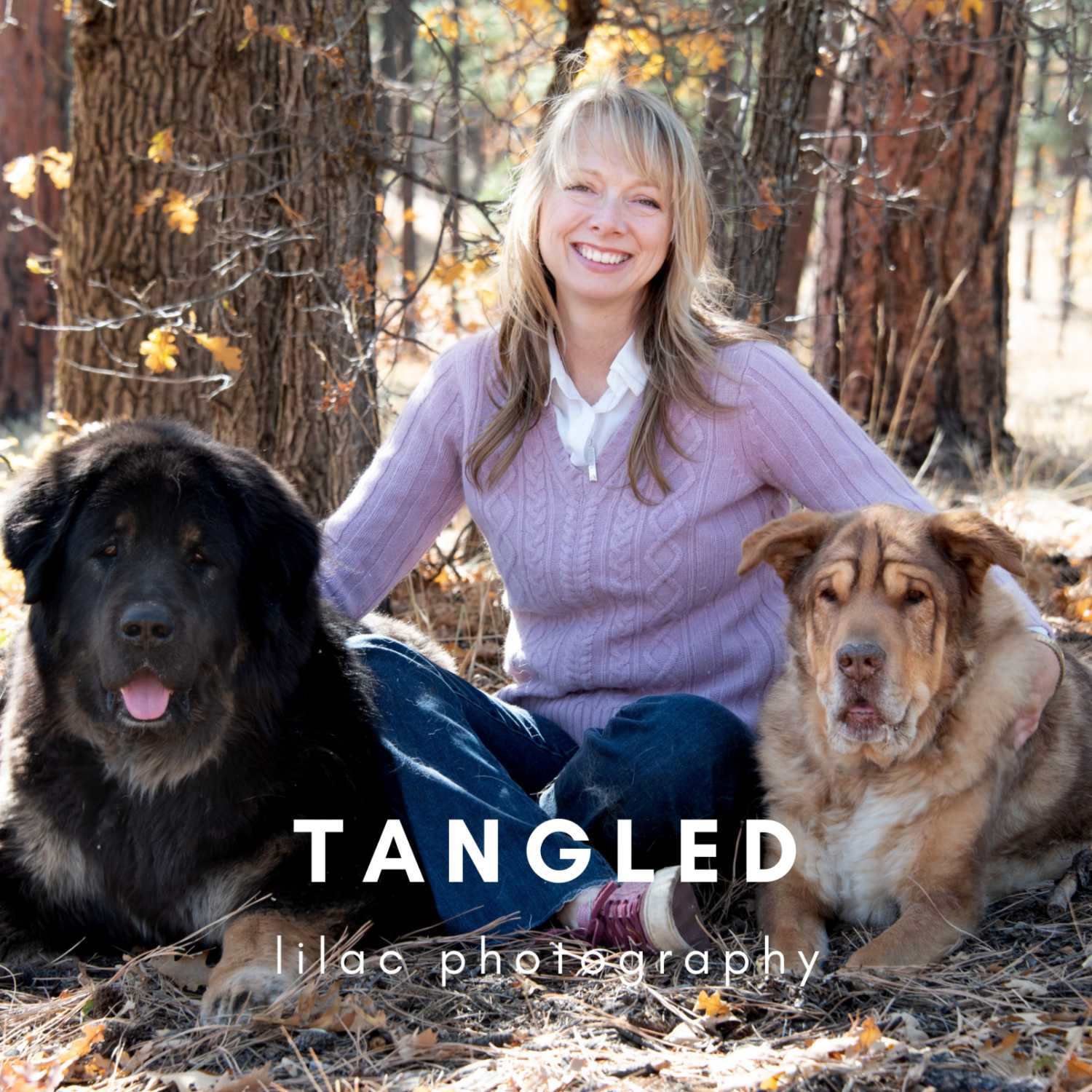 Tangled Lilac- Thoughts from a Photographer