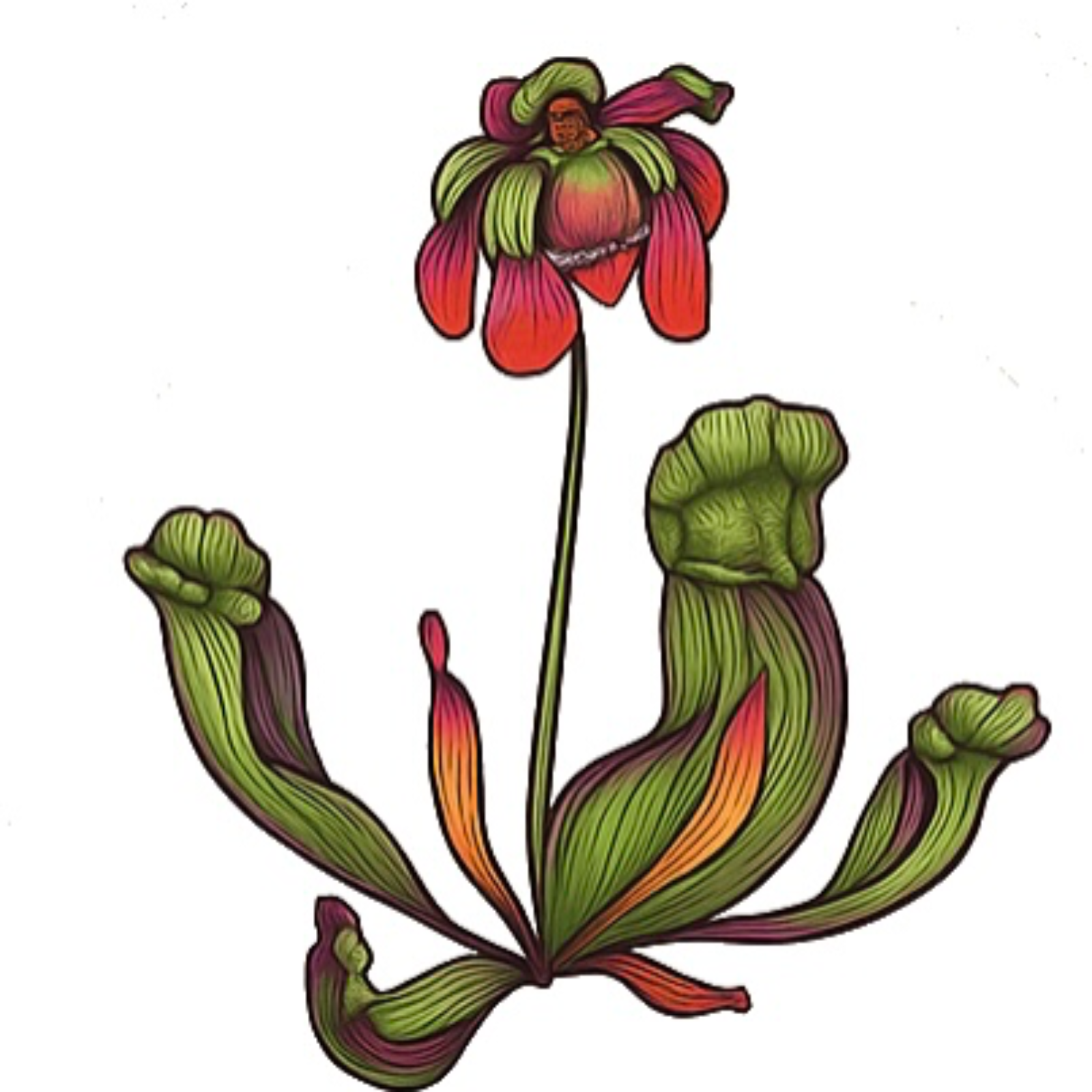 Smallwood’s Billion Dollar Bluff