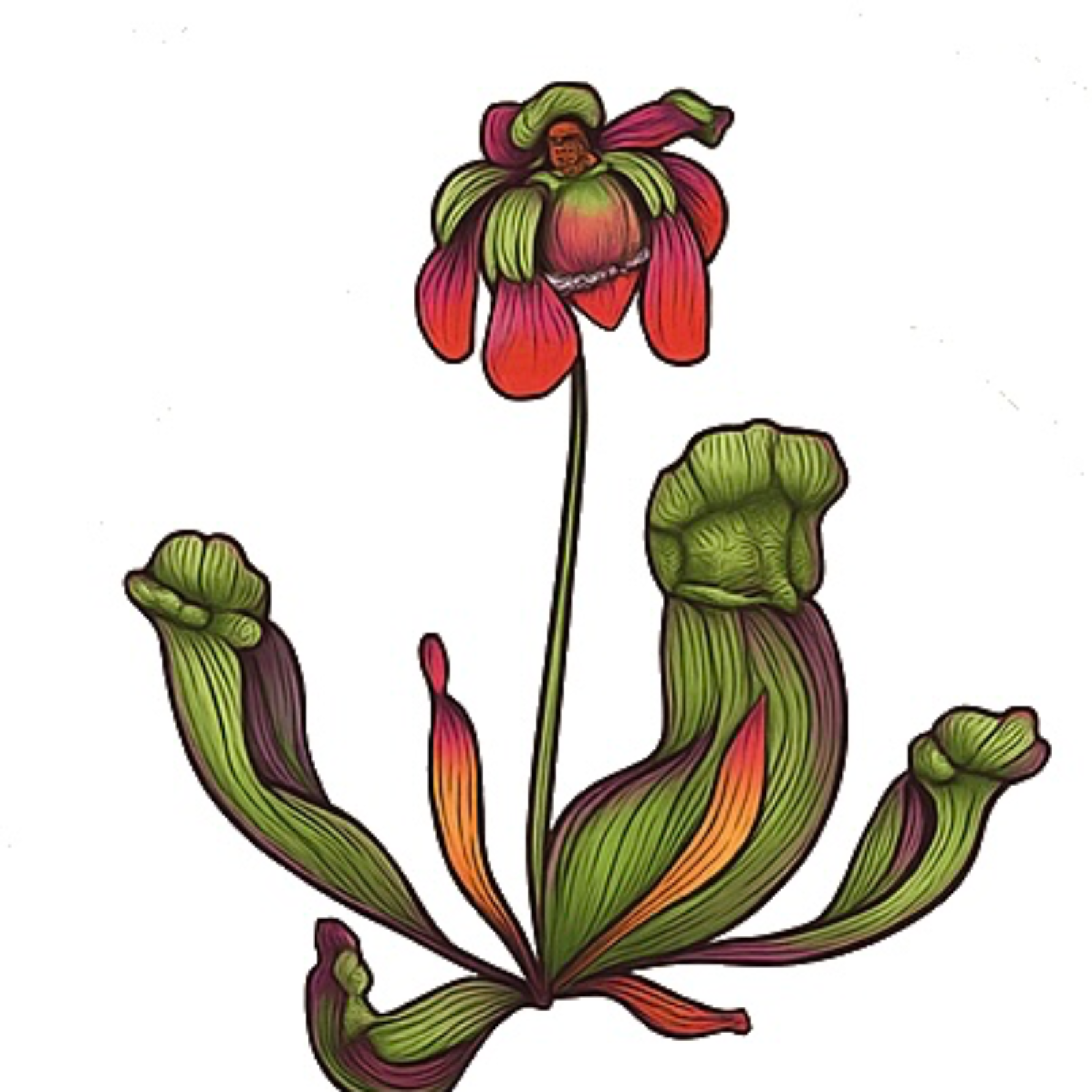 The Billion dollar Network 