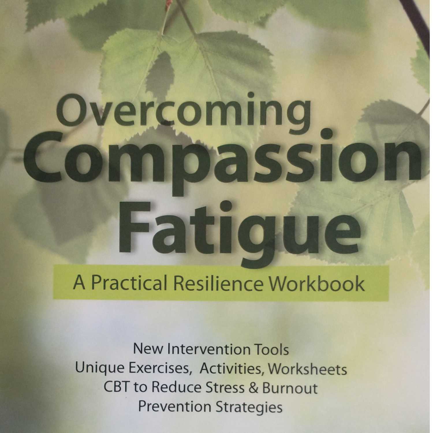 Overcoming Compassion Fatigue with Martha Teater