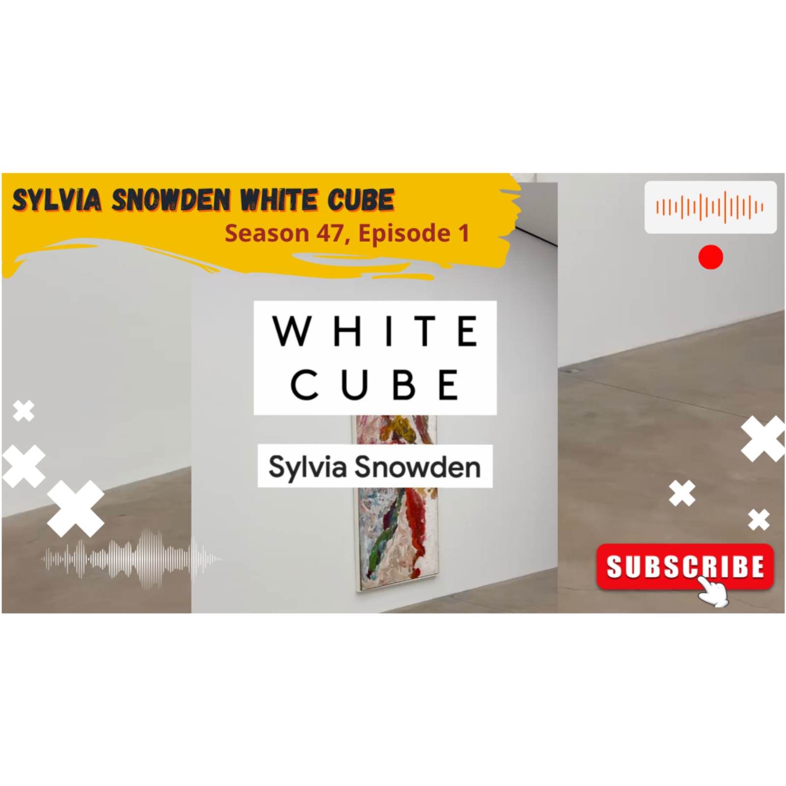 Sylvia Snowden White Cube (Season 47, Episode 1) episode artwork